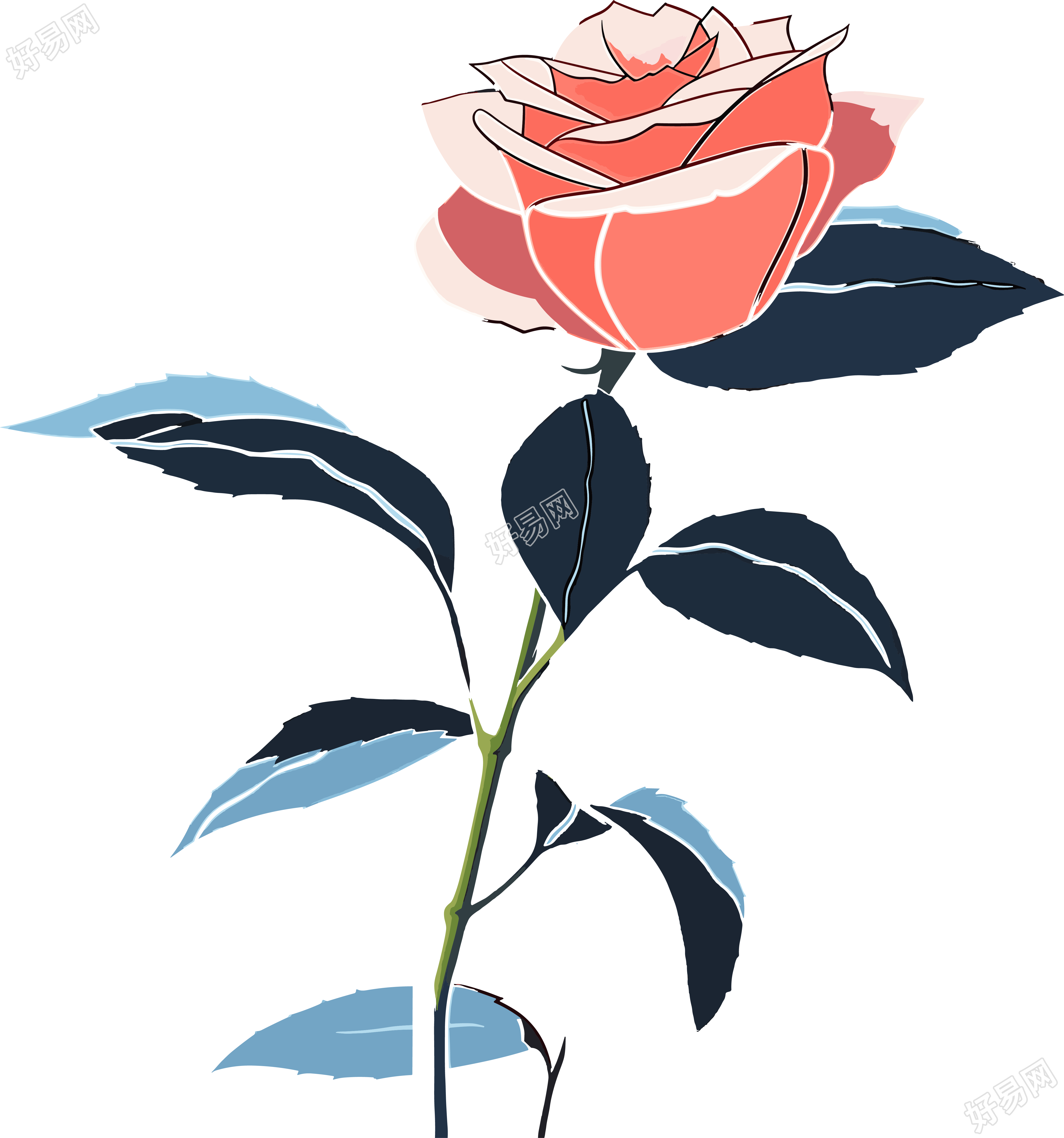 一朵玫瑰花商业插画