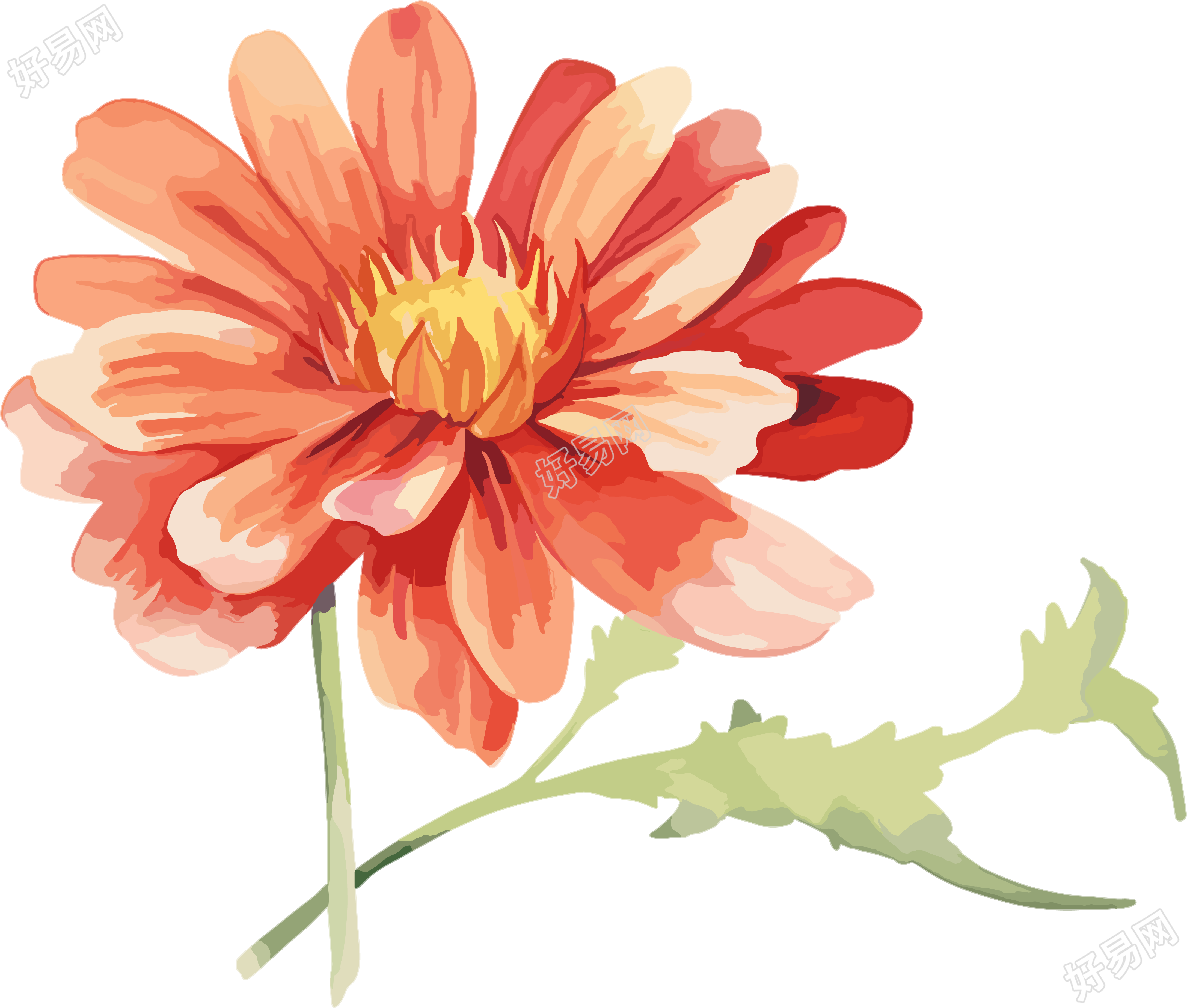 水彩花卉可商用创意设计插画