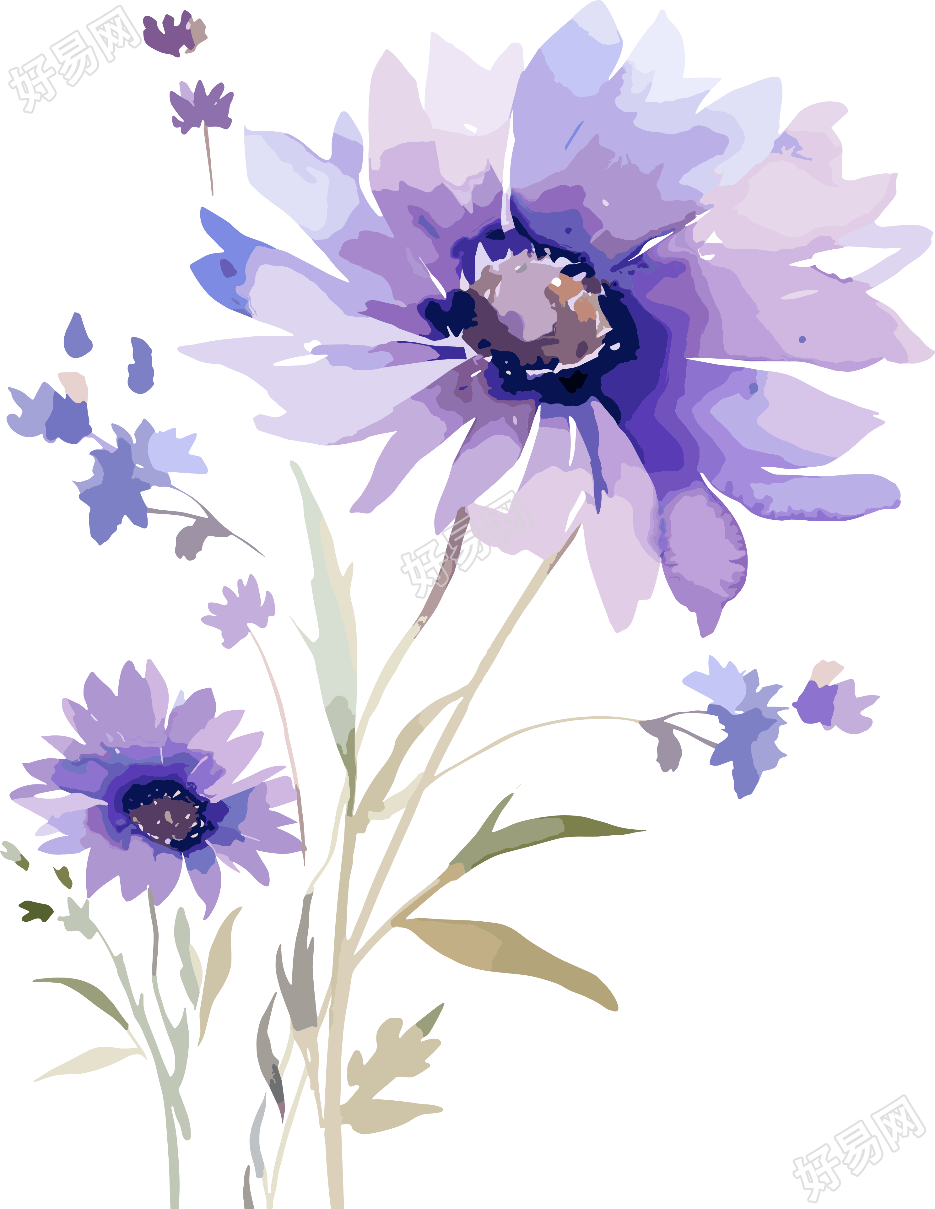 水彩花卉PNG图形素材