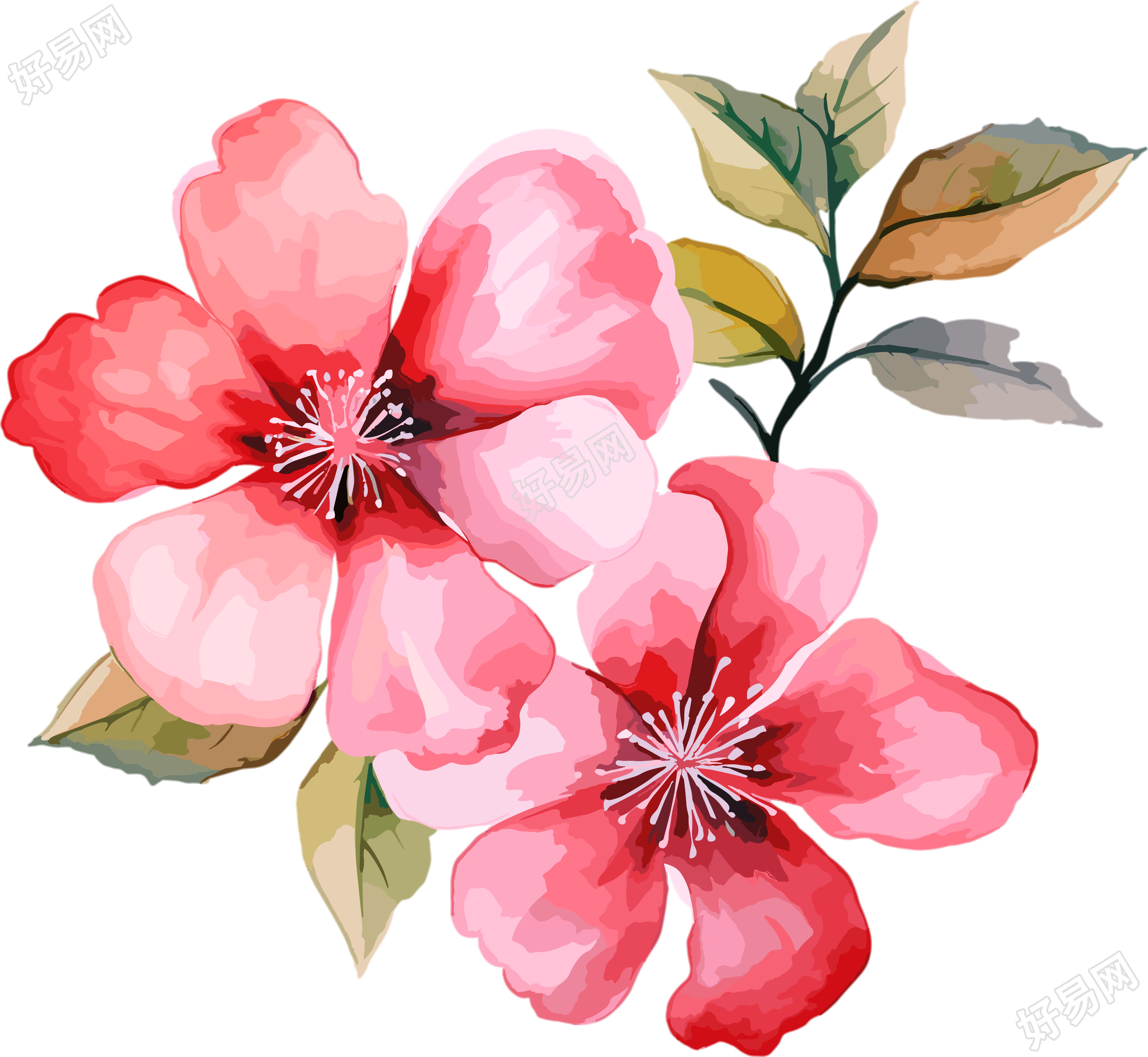 水彩花卉设计元素