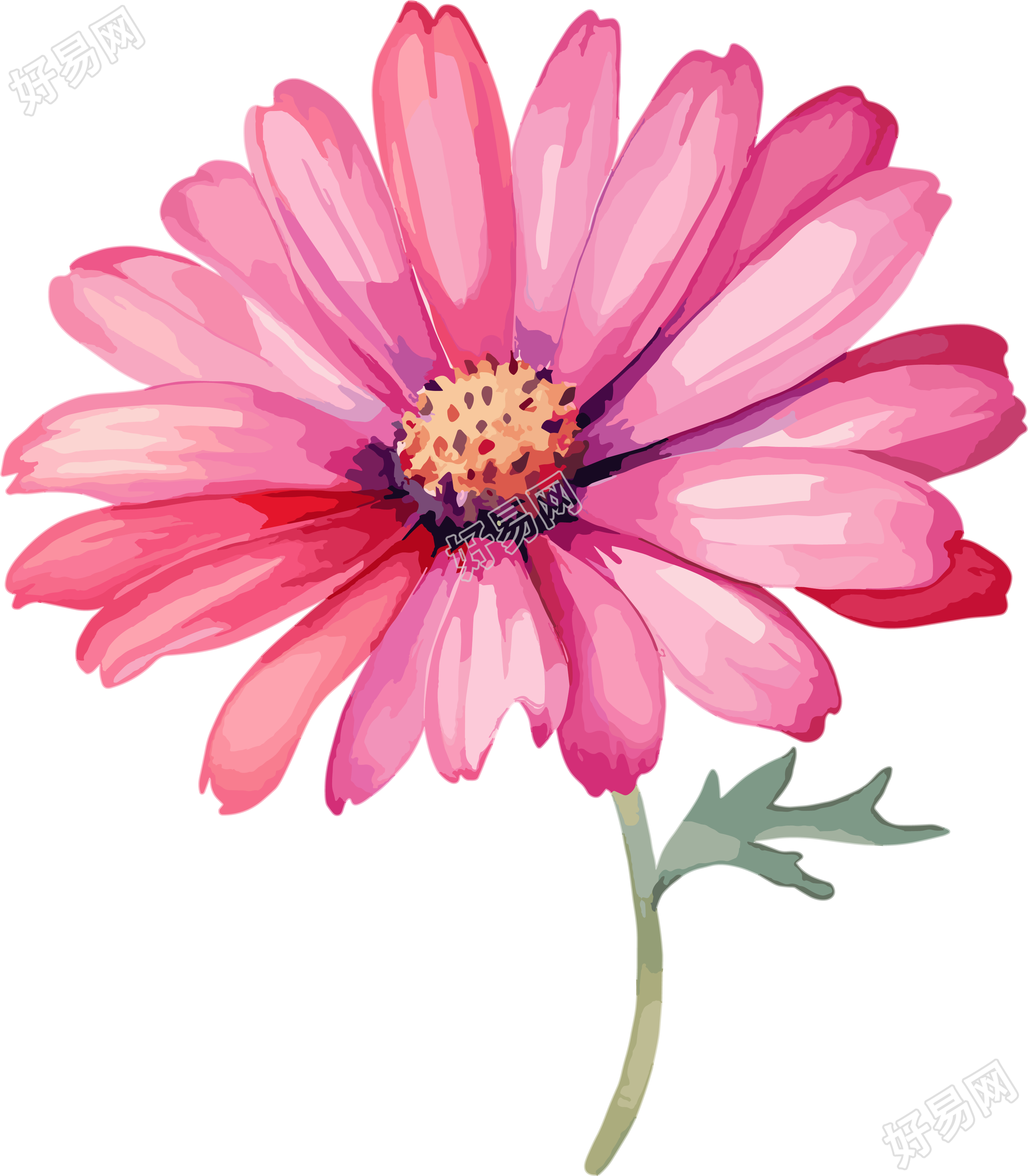水彩花卉高清PNG图标元素
