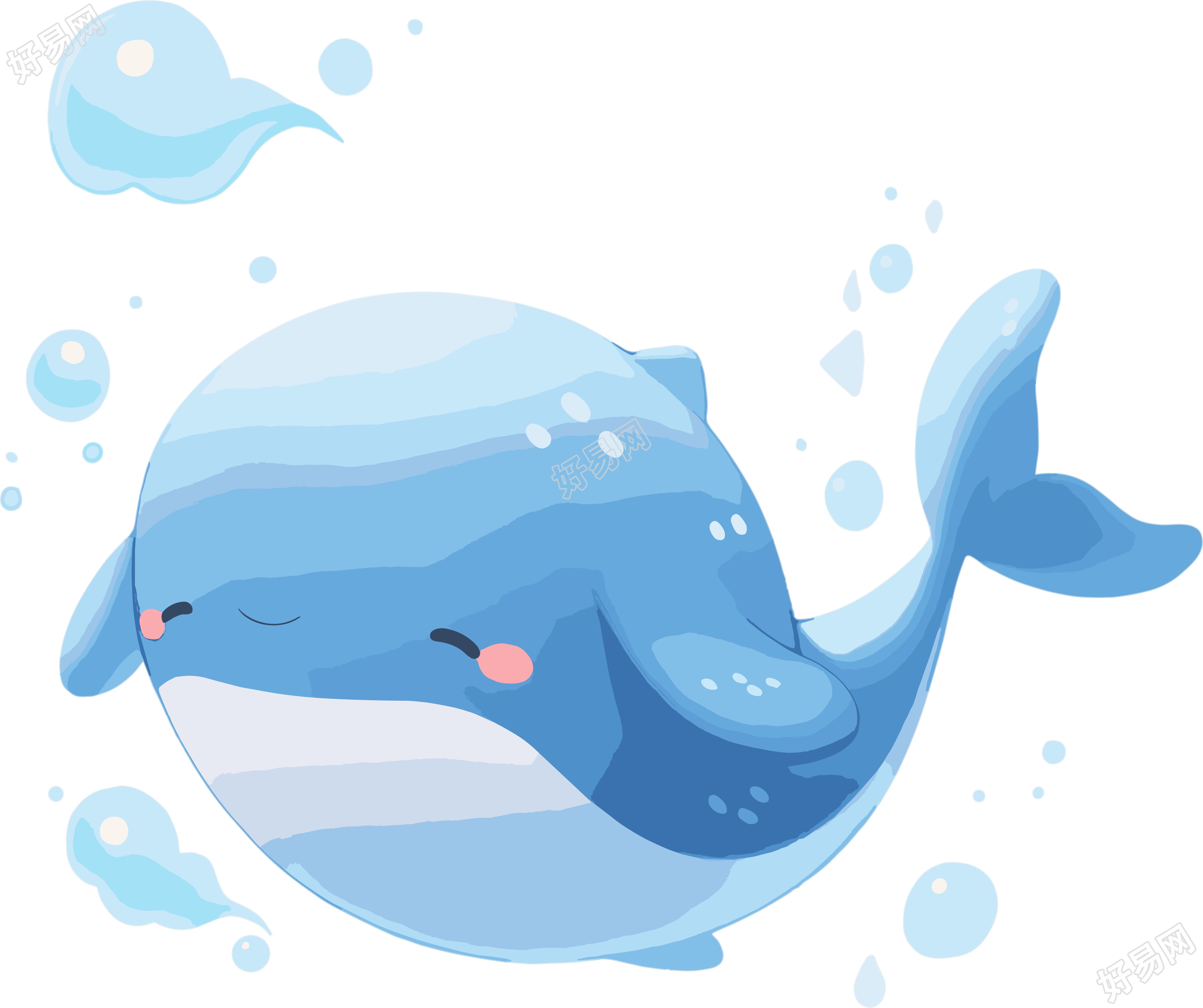 鲸鱼透明背景插画