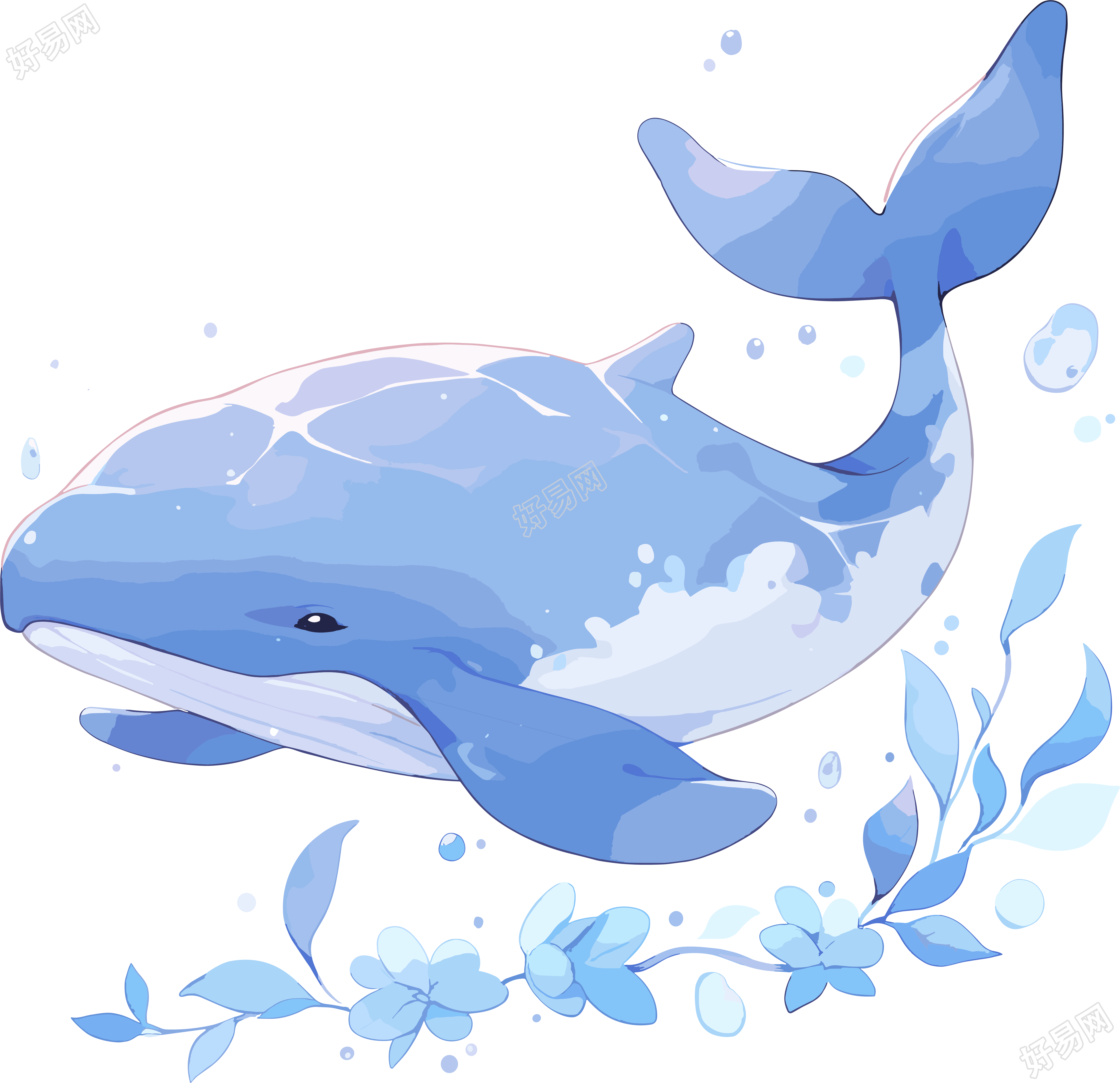 鲸鱼高清透明PNG素材
