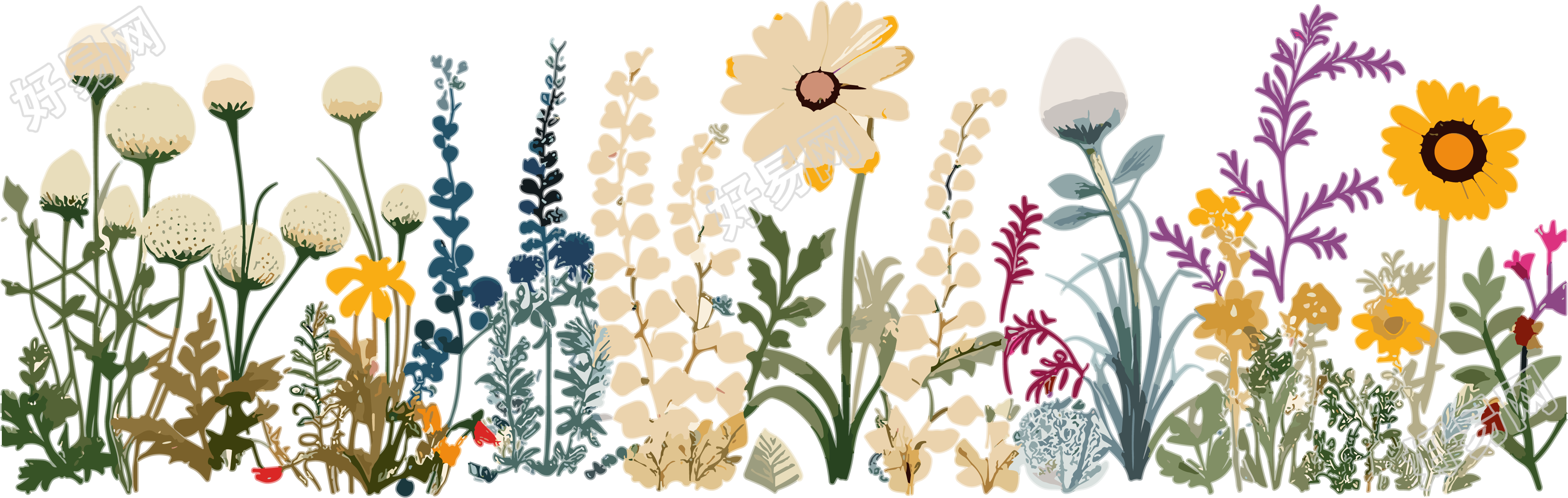 植物花边白色背景素材