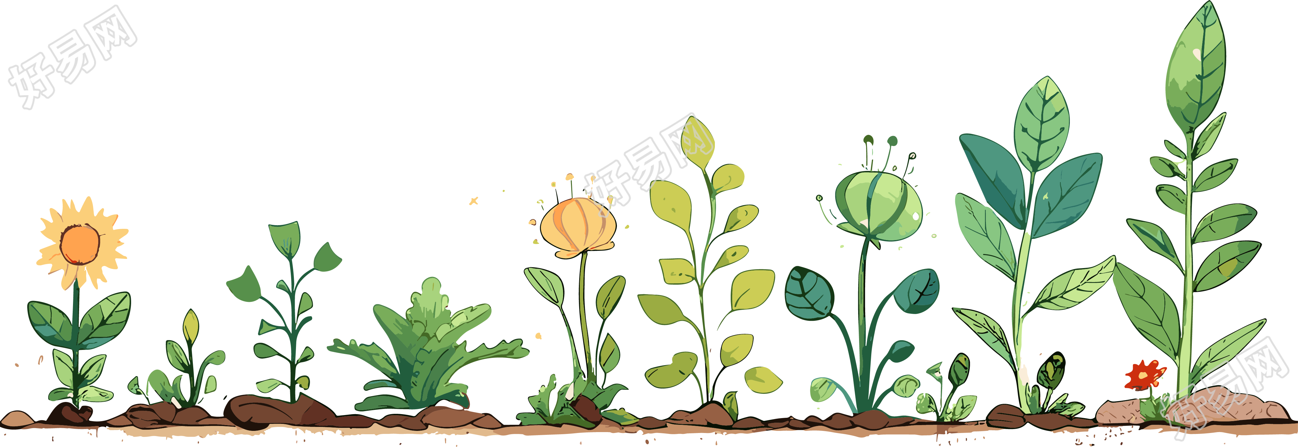 植物花边插画设计元素
