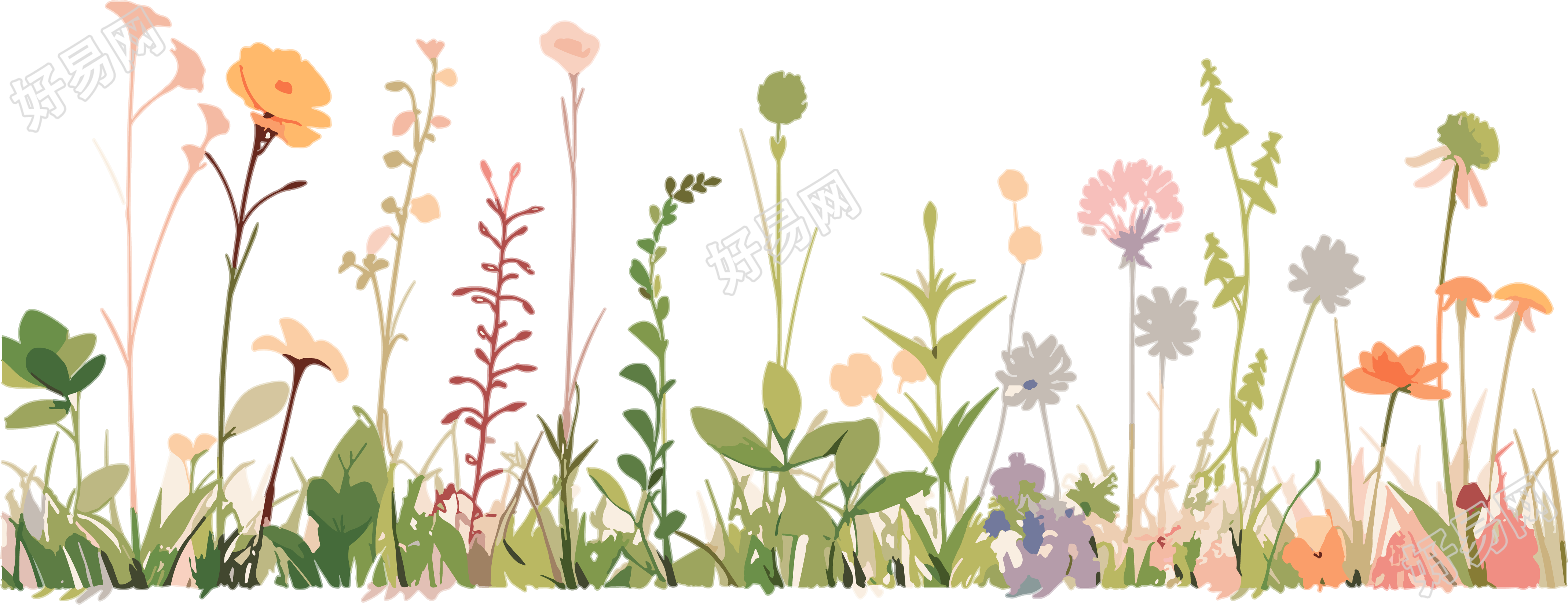 植物花边高清质量插图