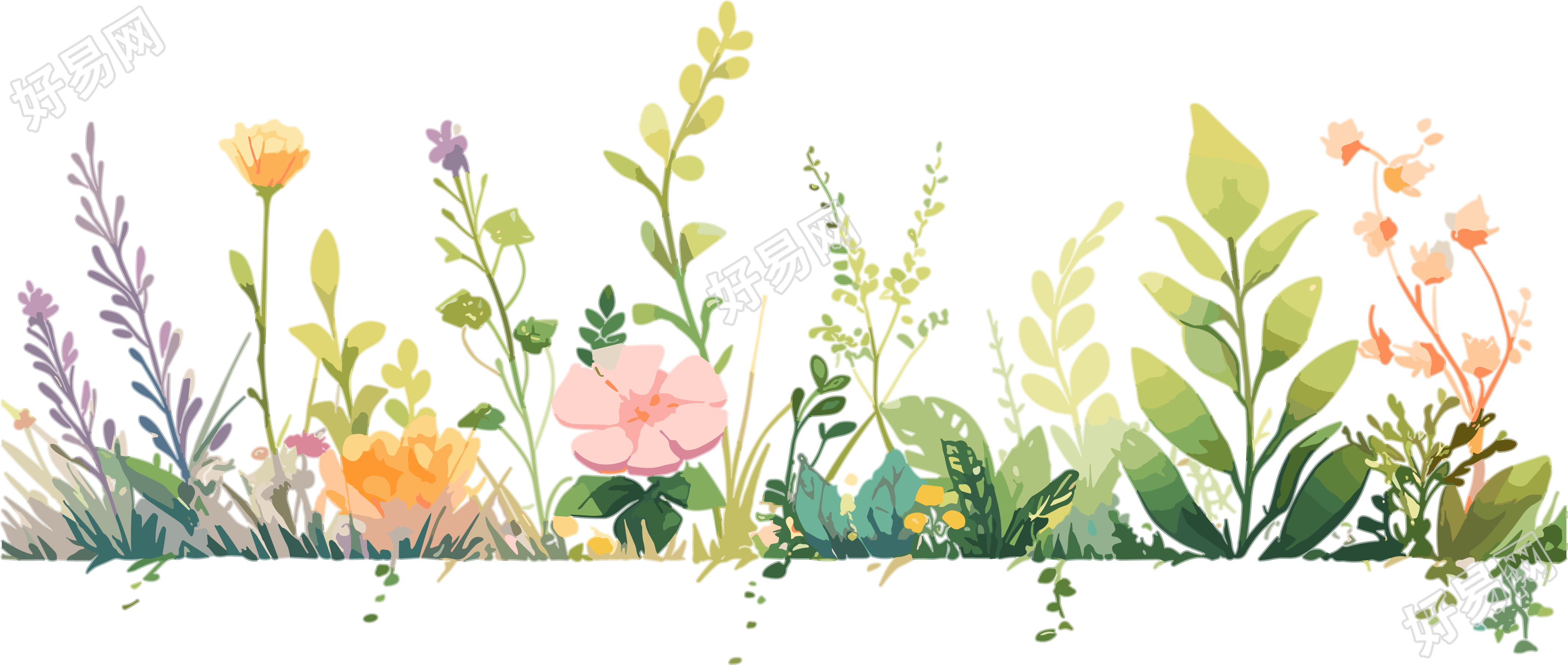 植物花边图案素材