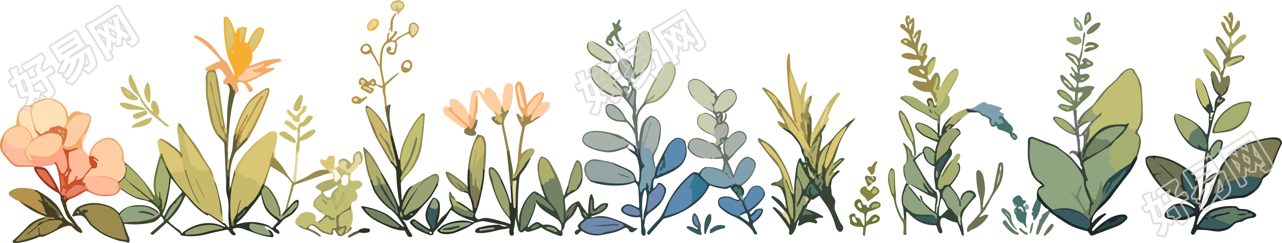 植物花边可爱漫画插画