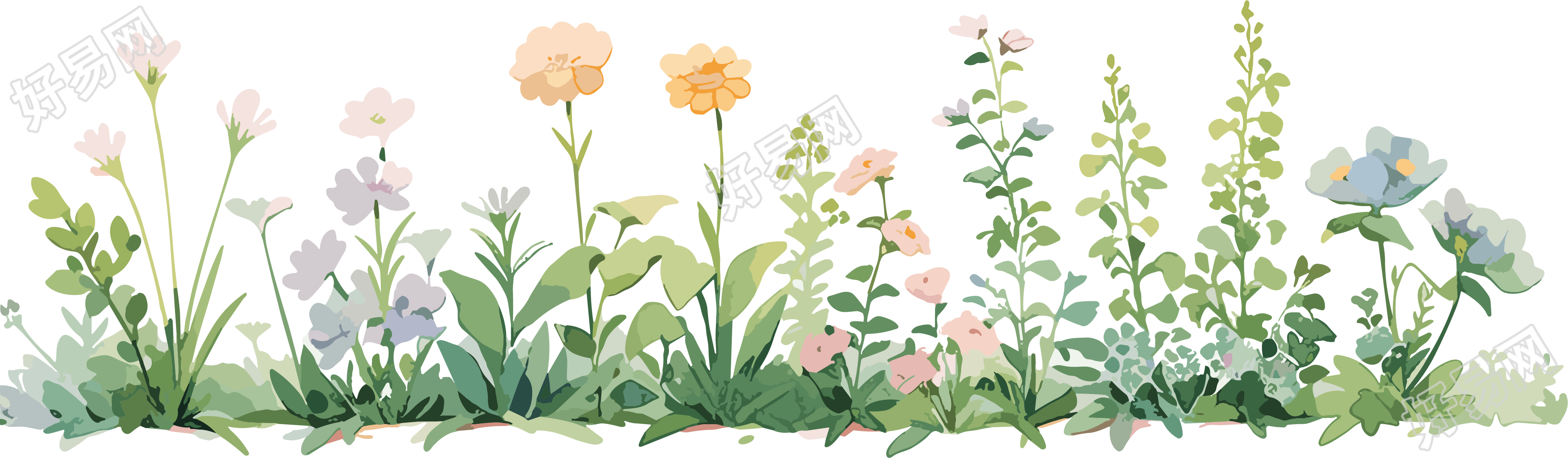 植物花边白底素材