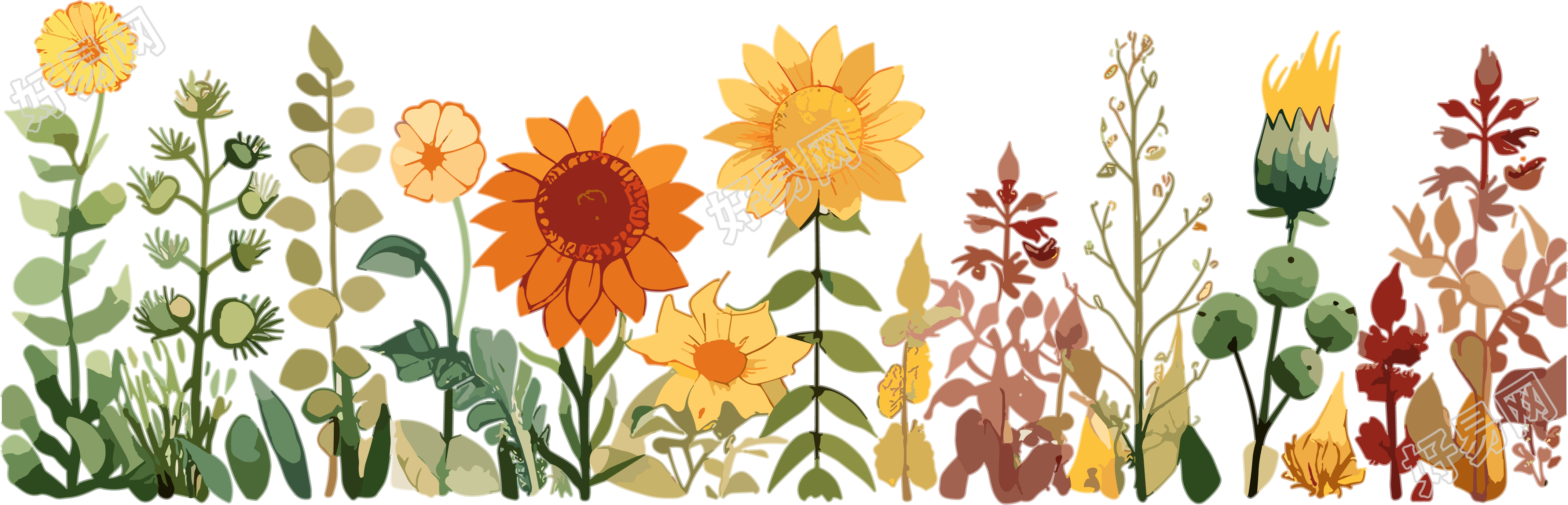 植物花边可商用插画设计