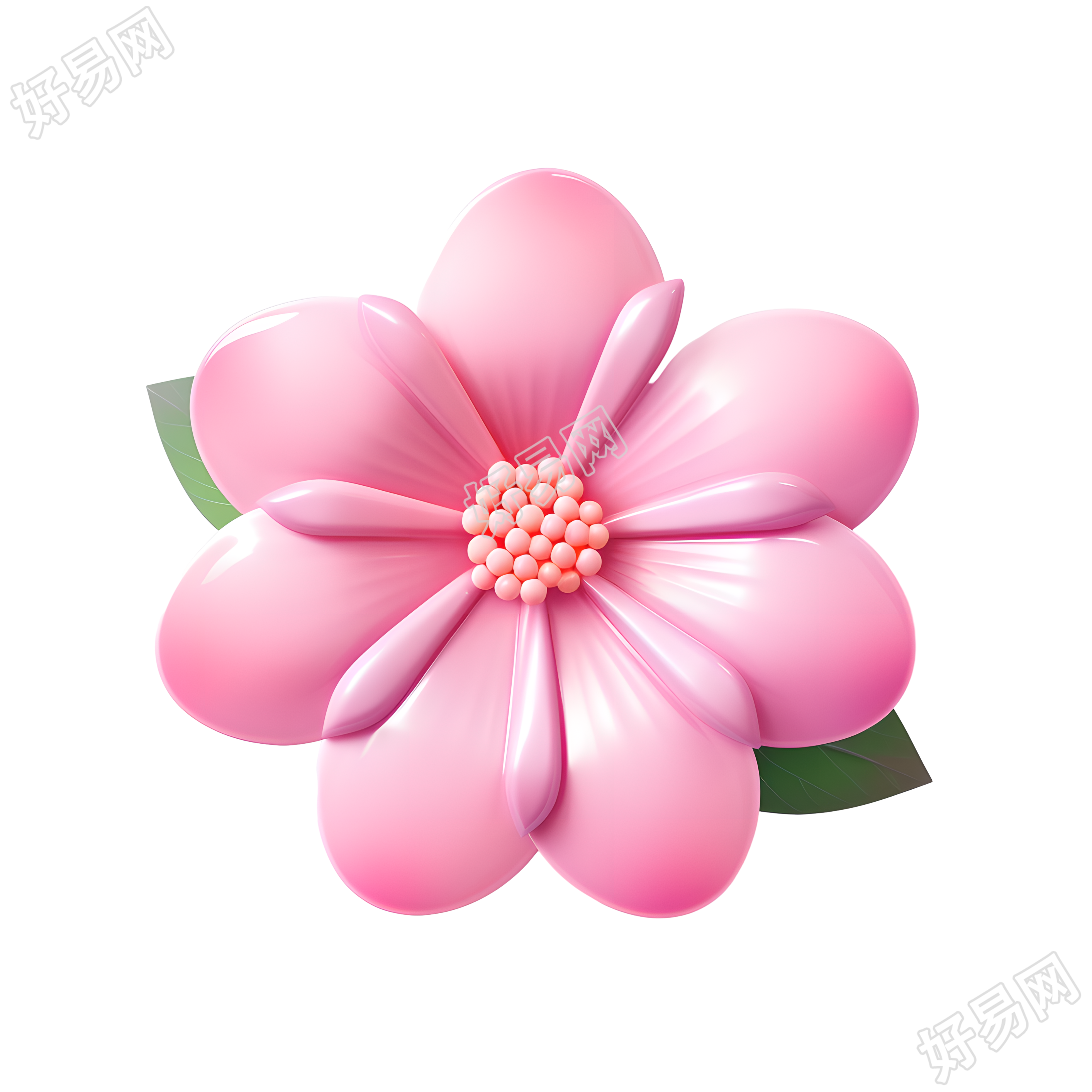 3D花卉透明背景插图