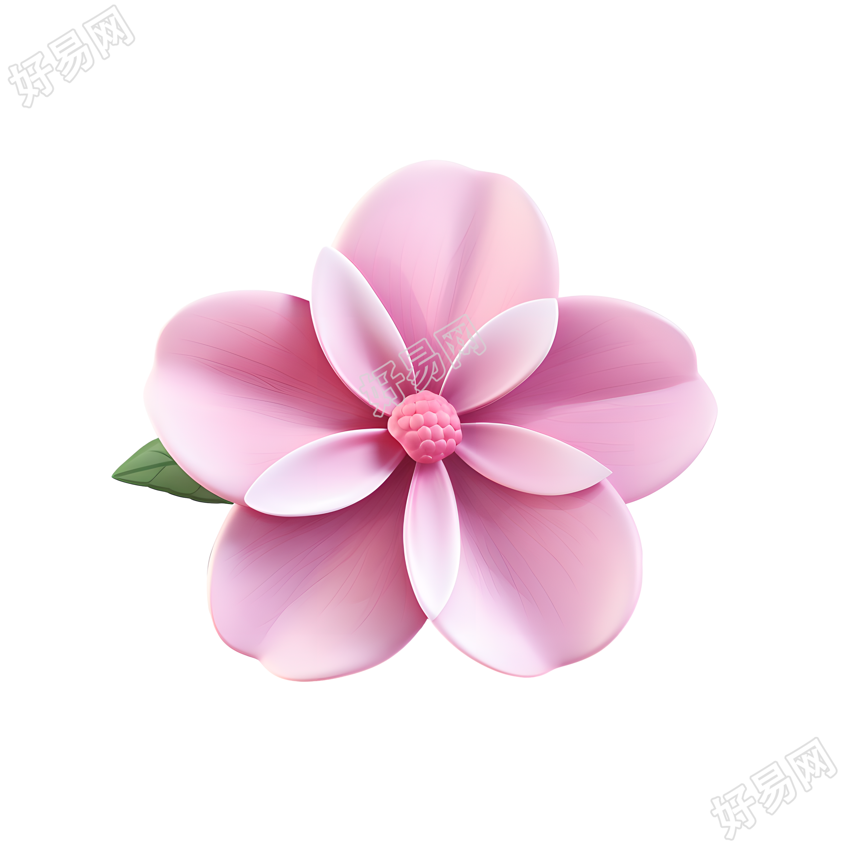 3D花卉可爱素材