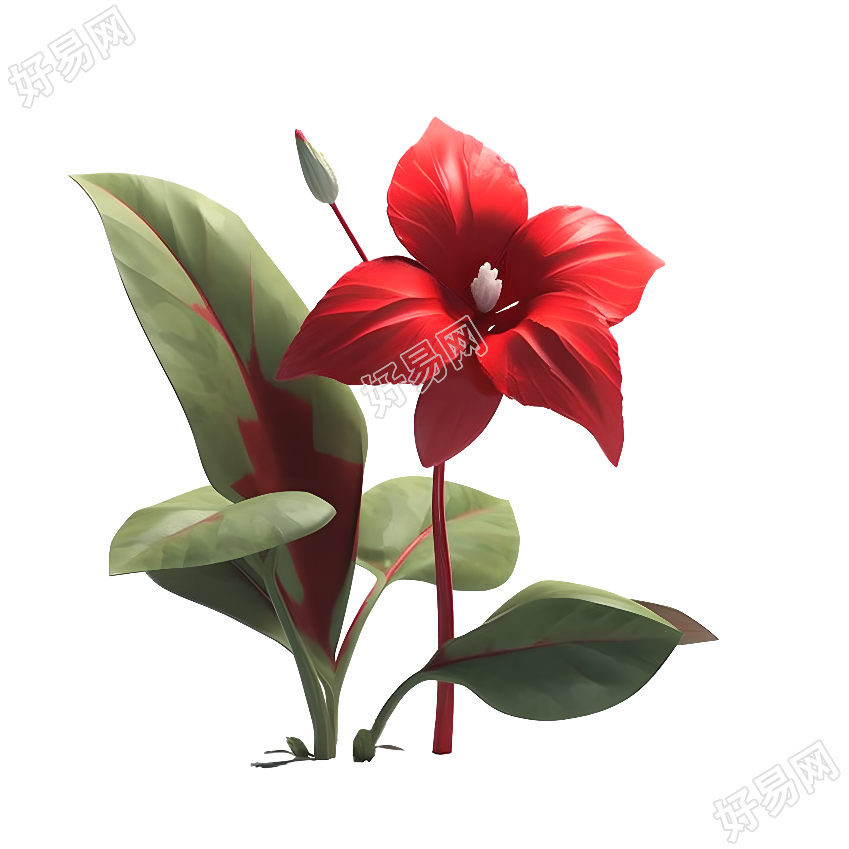 3D花卉三维模型插图