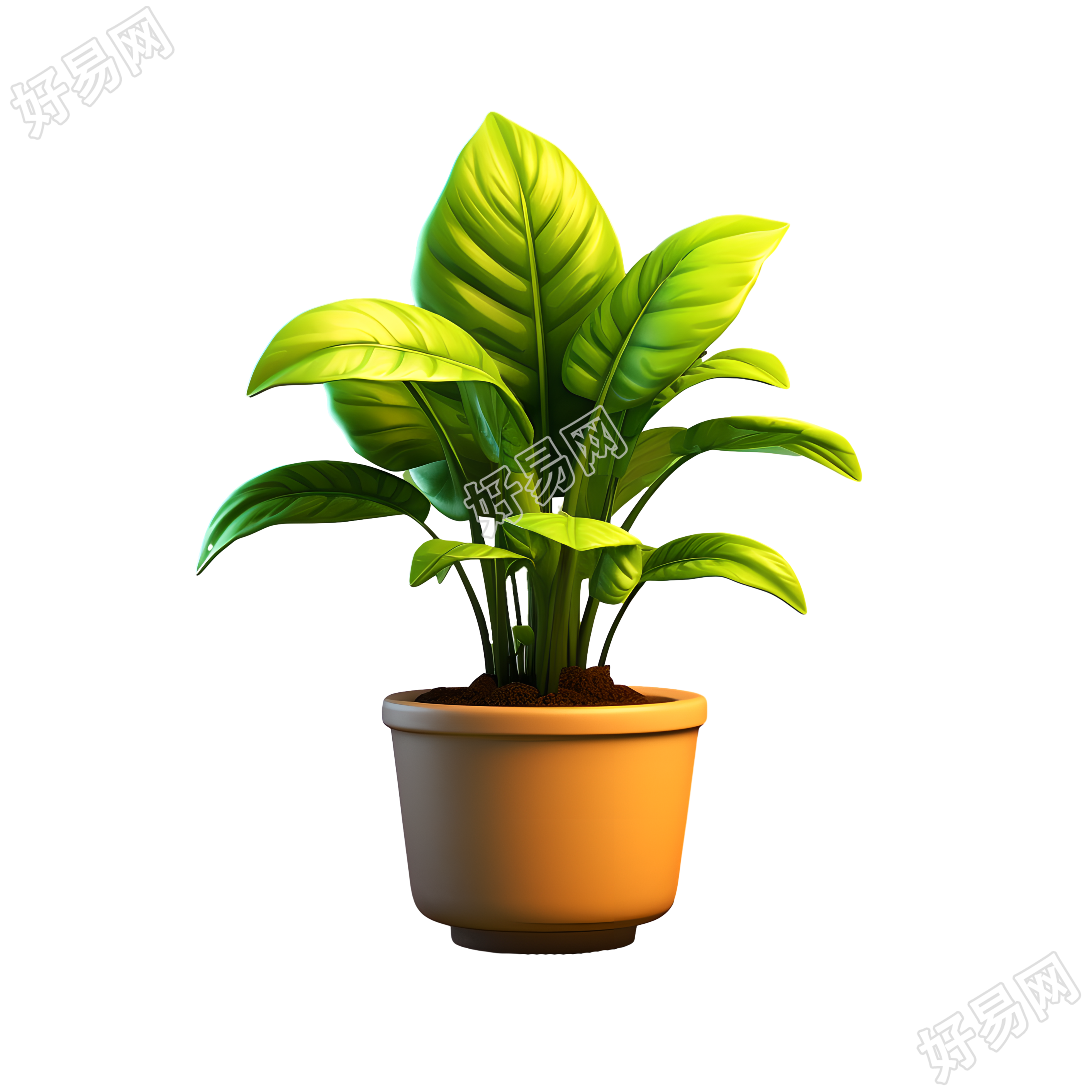 3D植物模型透明背景素材