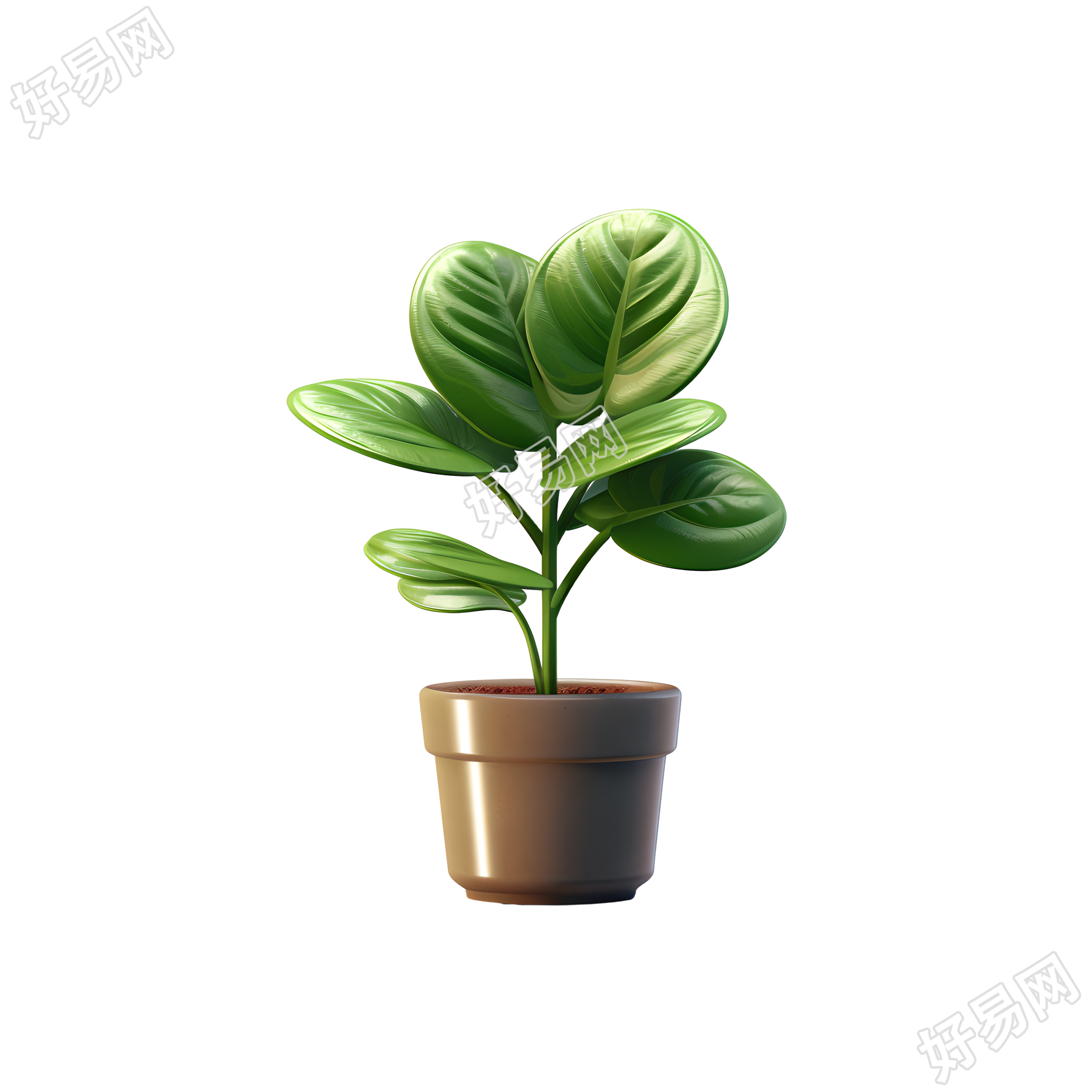 植物3D模型PNG图形素材