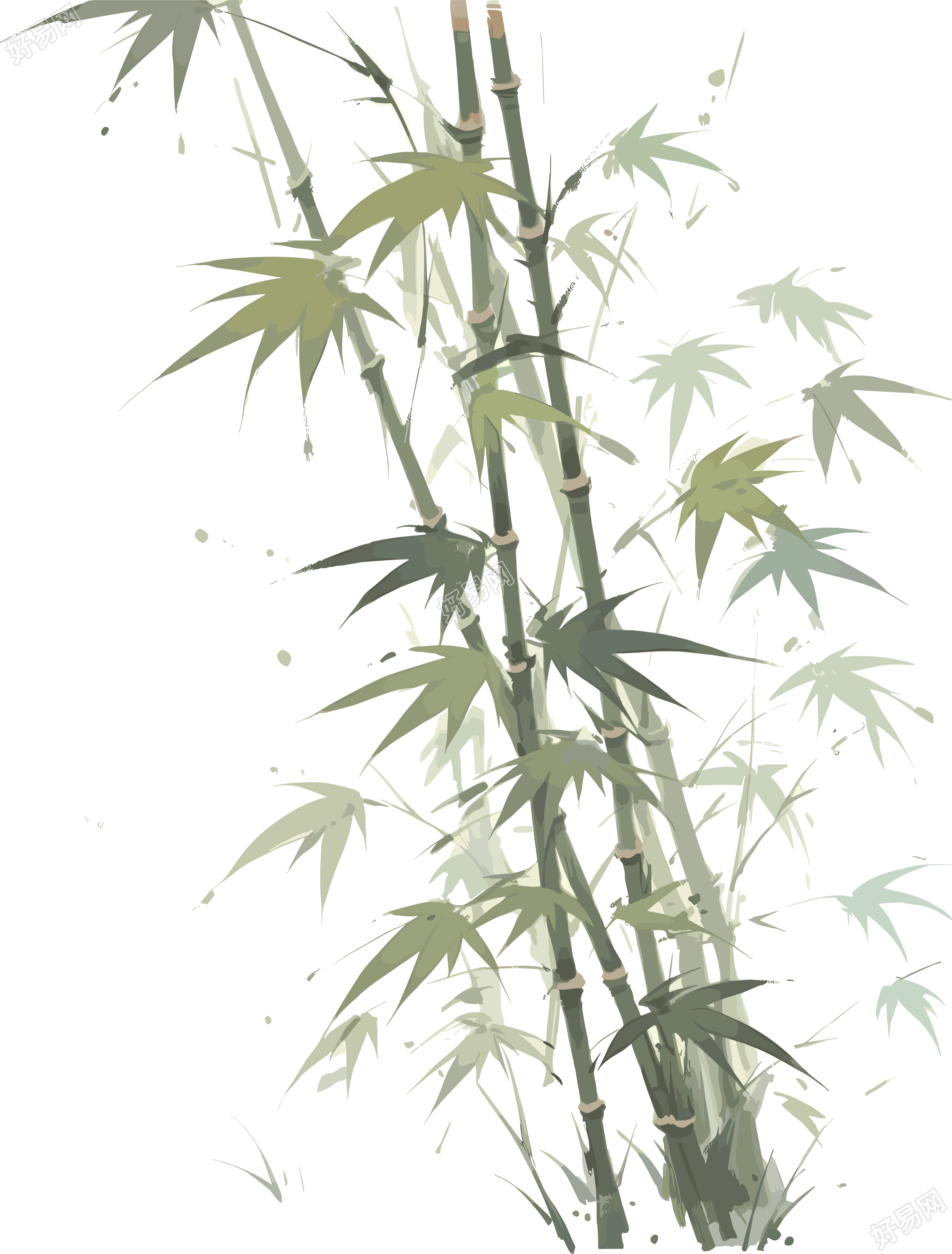 传统工笔画可商用竹子插画