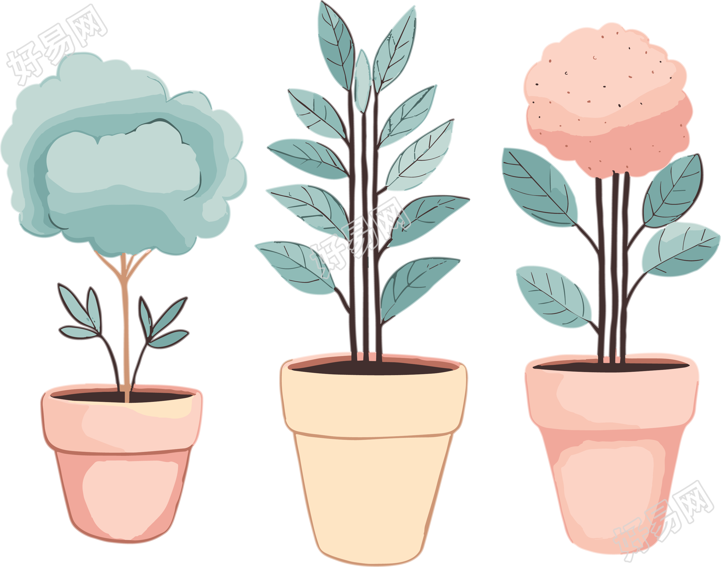 儿童图书风格的三个盆栽植物插画