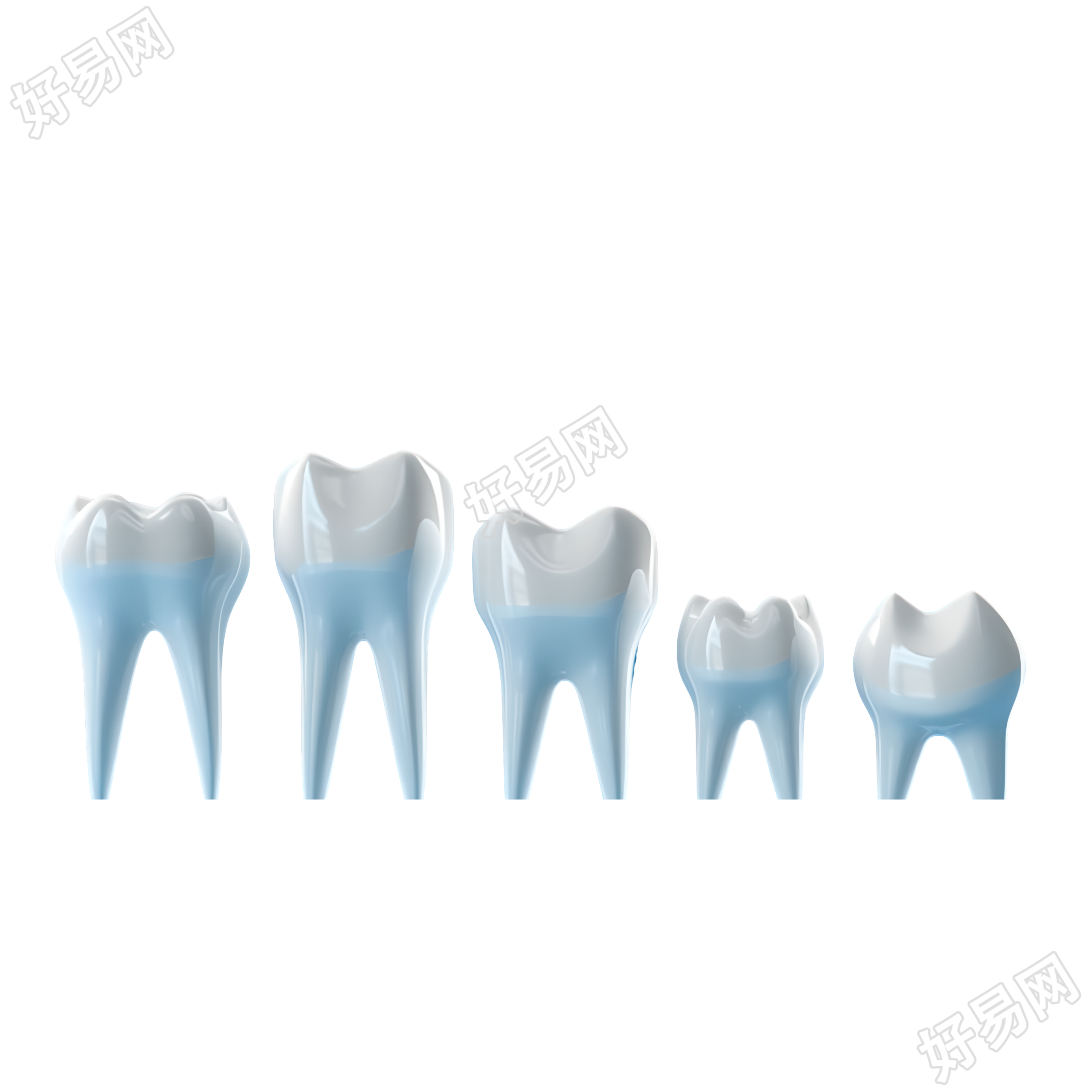 五个白色牙齿模型透明背景插图