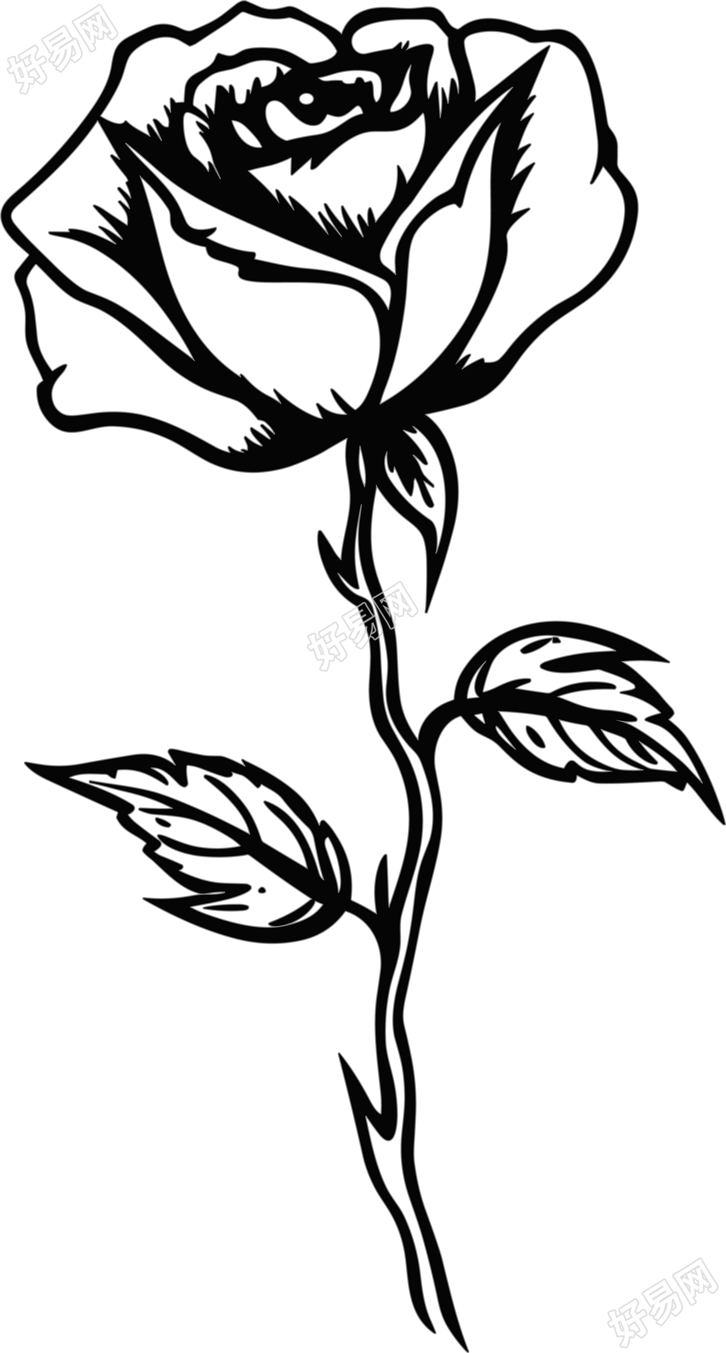 单支玫瑰花黑白手绘线描素材