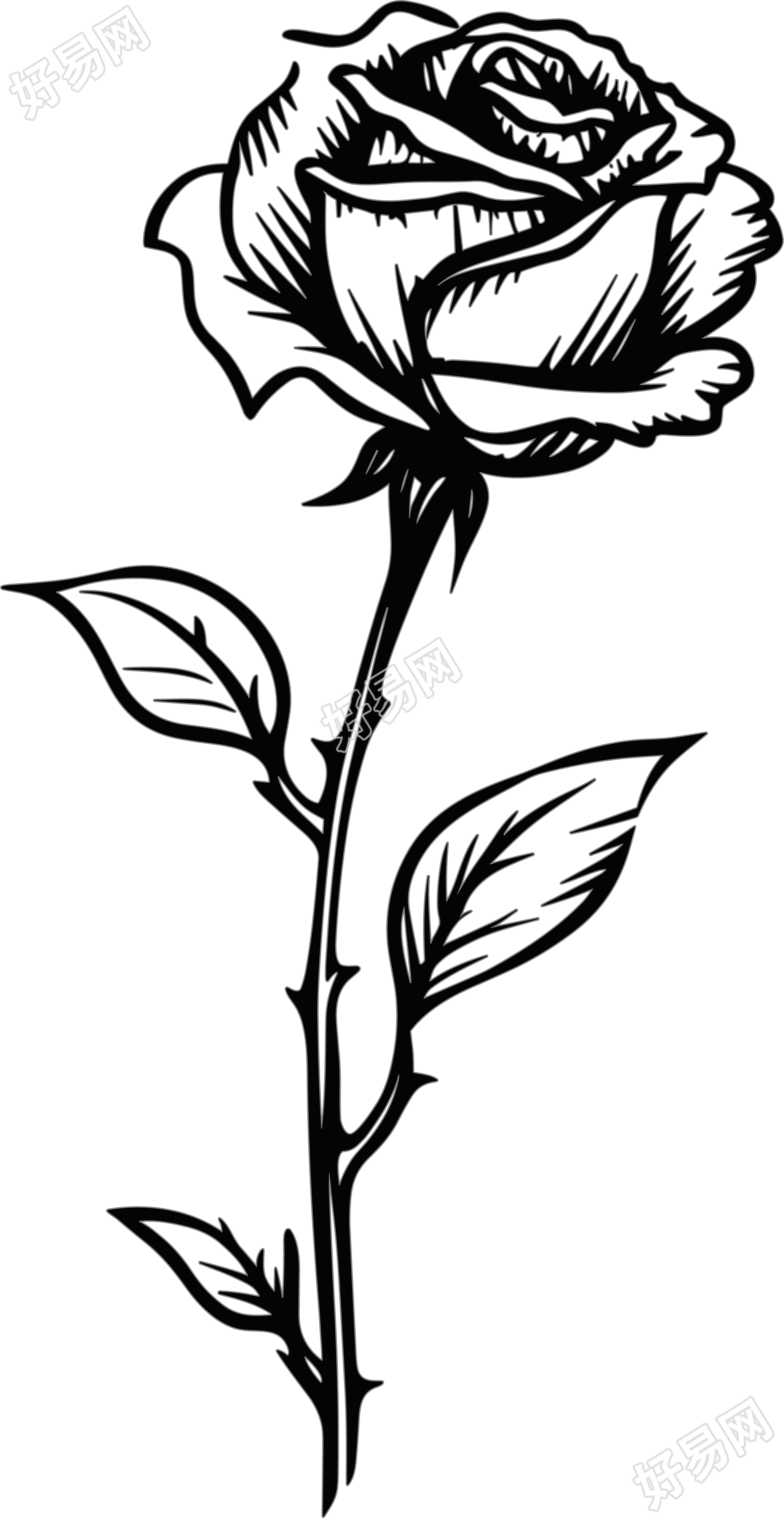 透明背景手绘黑白线条玫瑰花素材