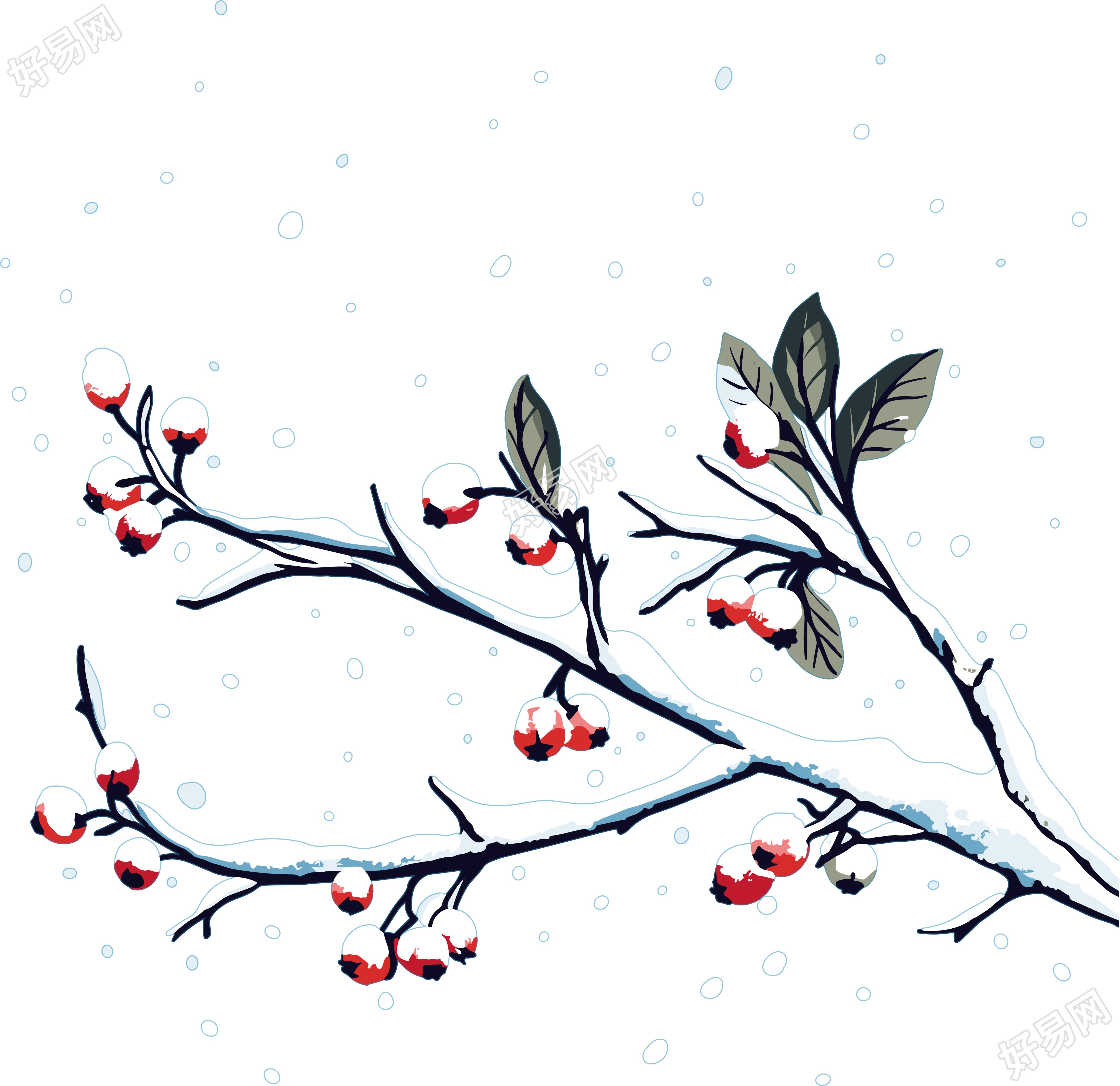 冬季元素雪中红浆果插画
