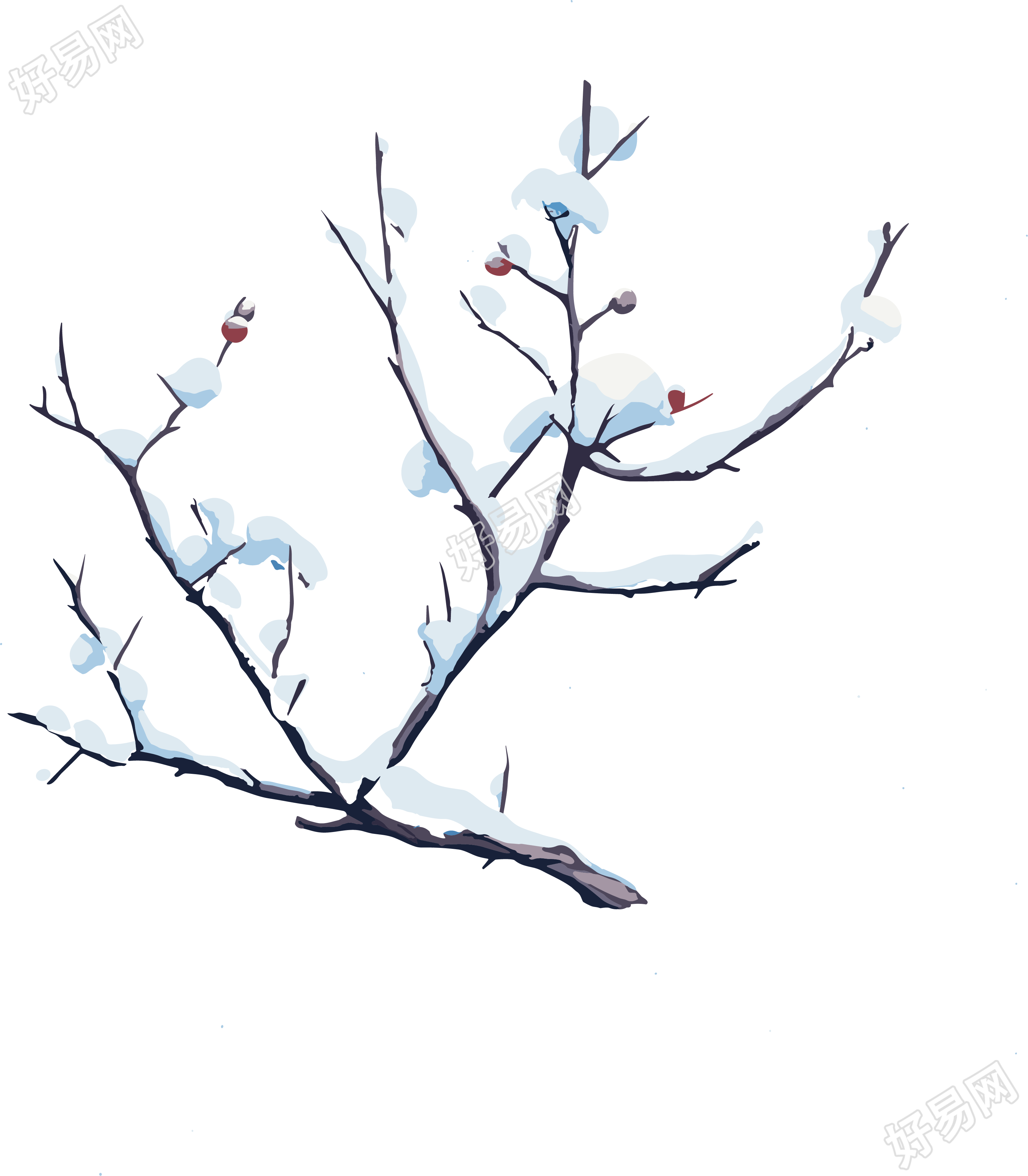 树枝和积雪透明背景素材