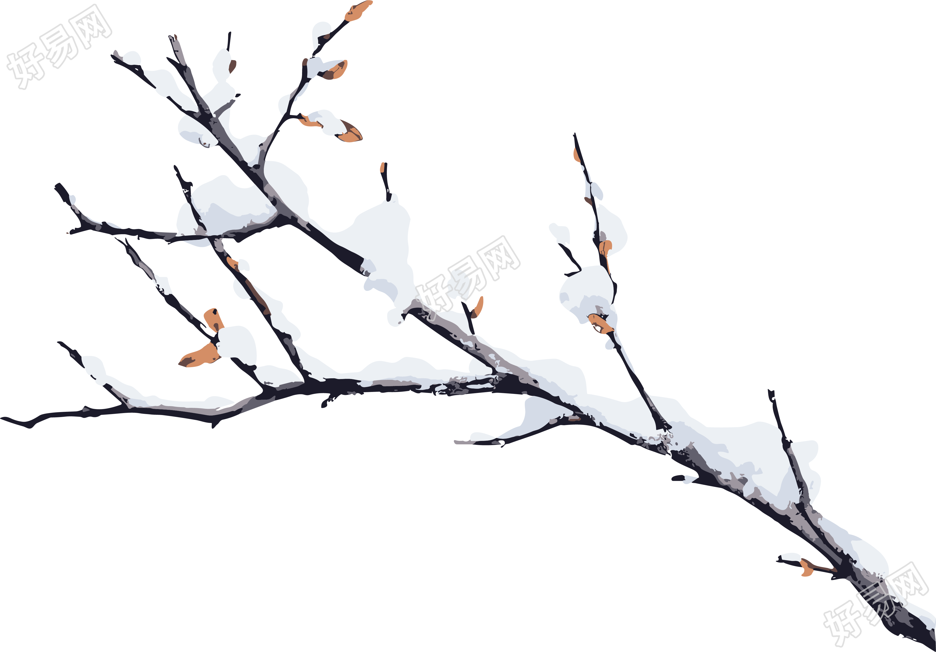 冬季落雪的枝条透明背景扁平插画