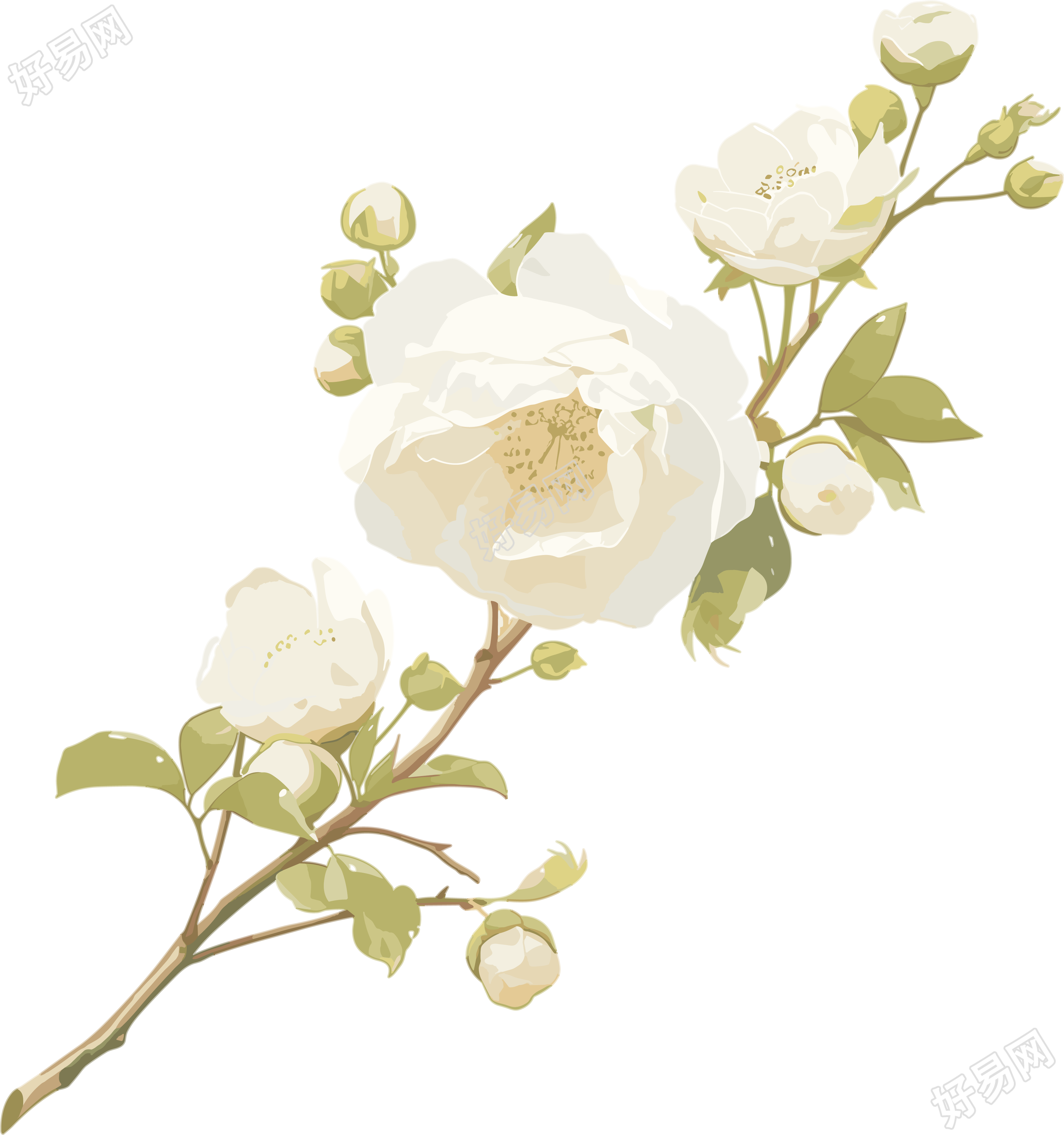 花苞插画设计素材