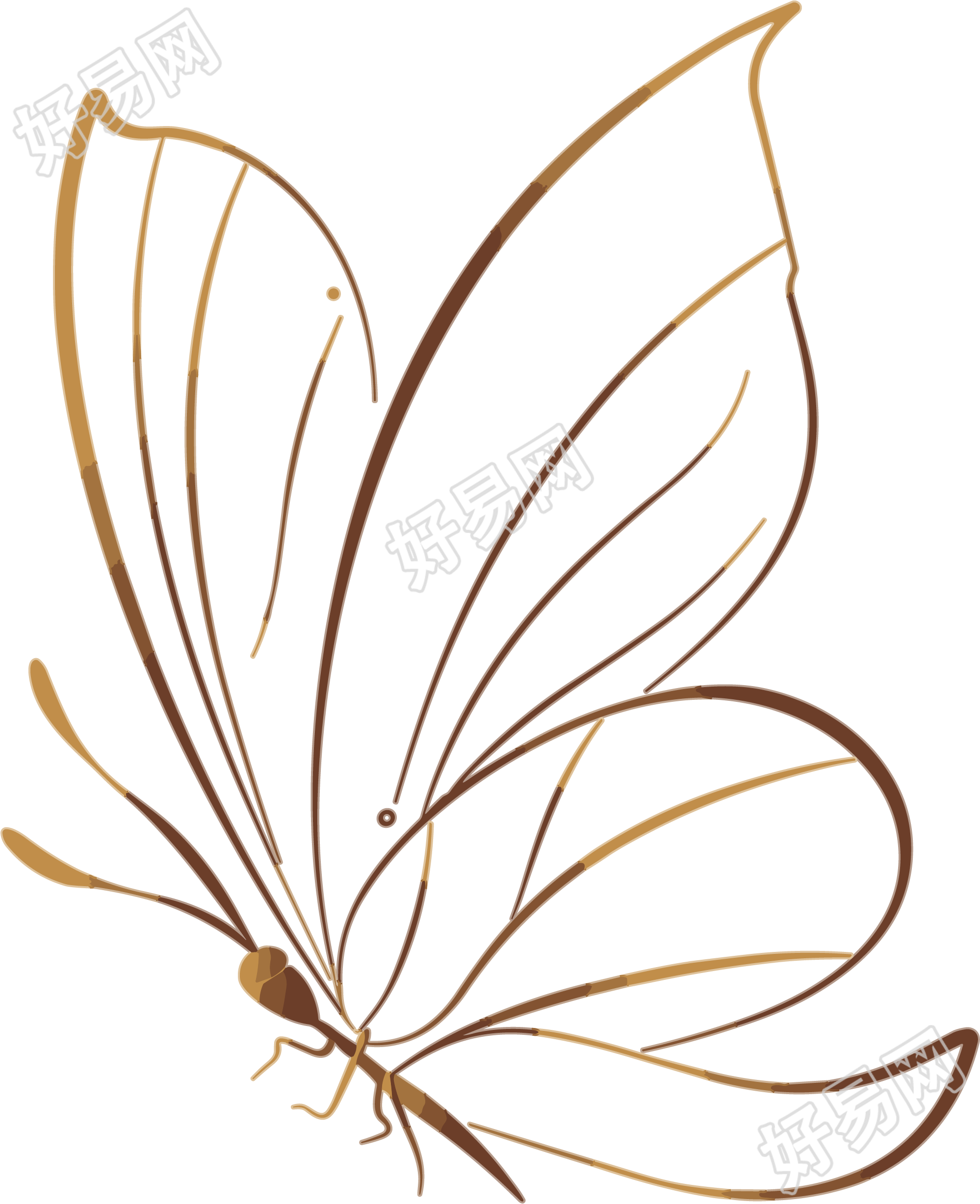 线条蝴蝶简洁插图