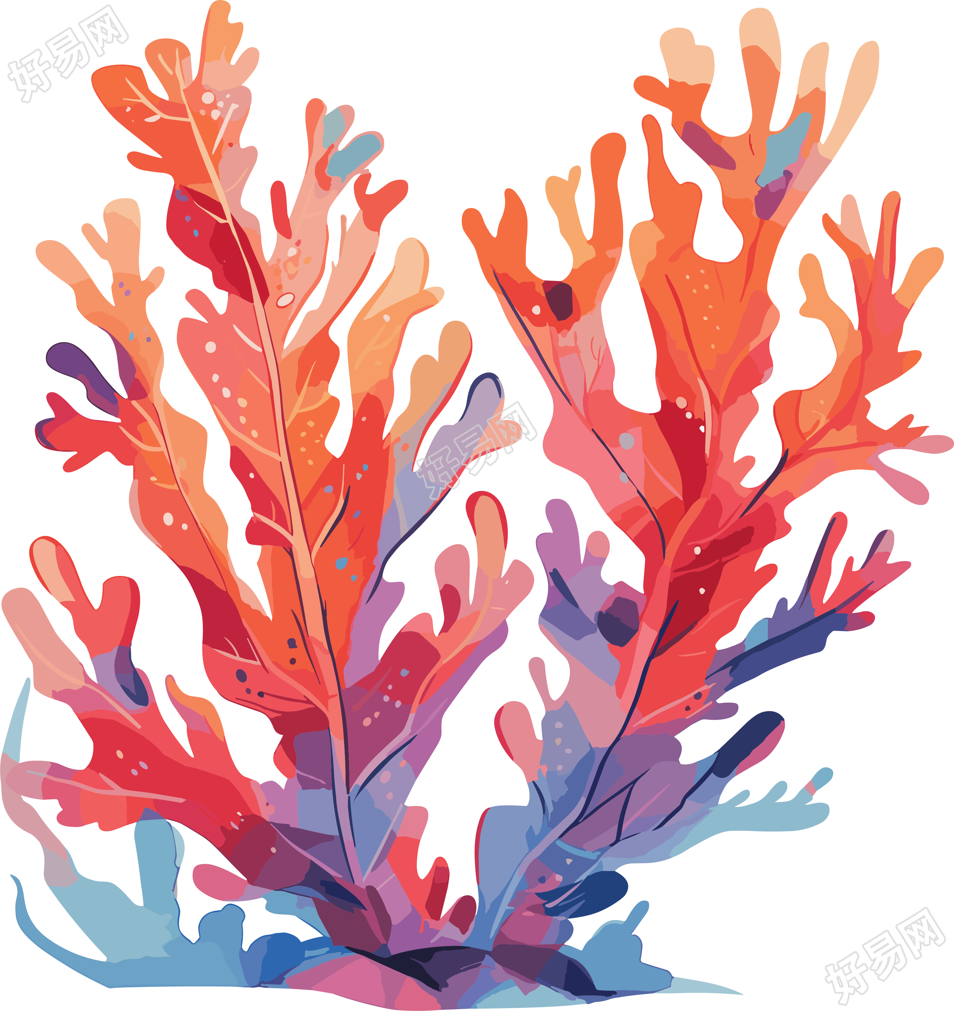 海洋珊瑚素材