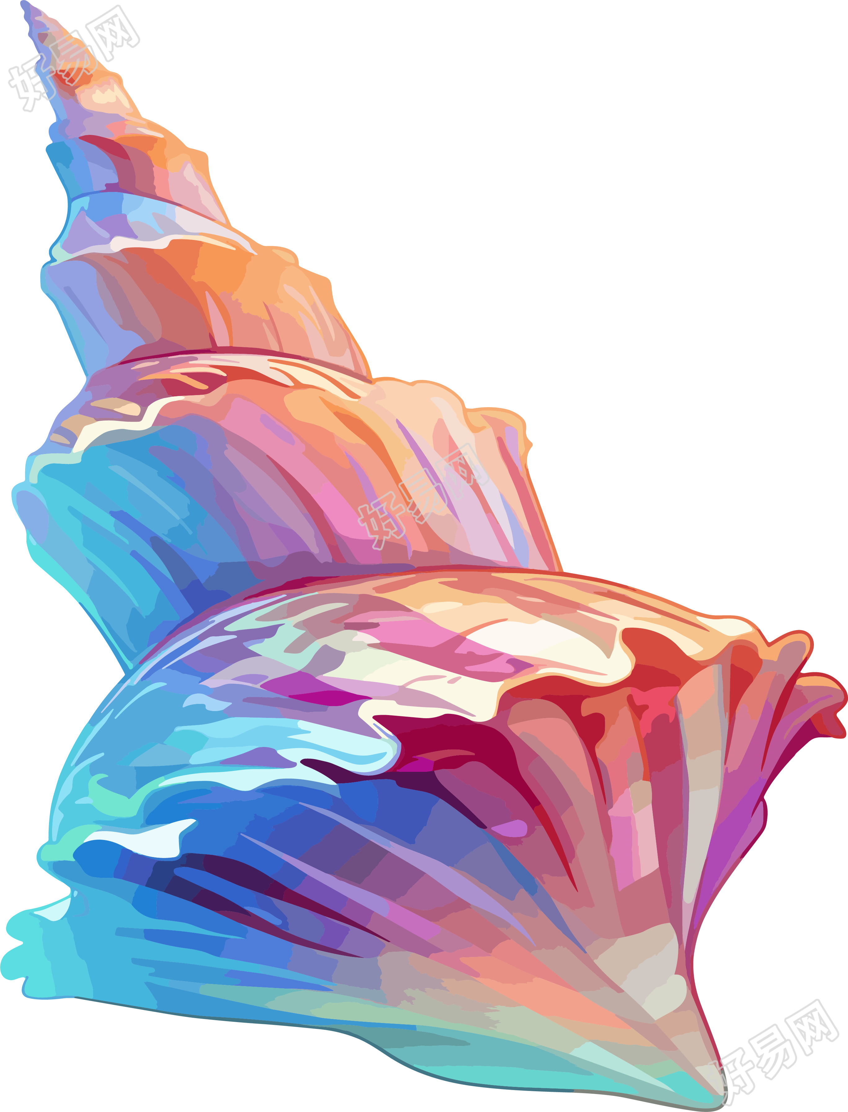 海贝壳卡通插图