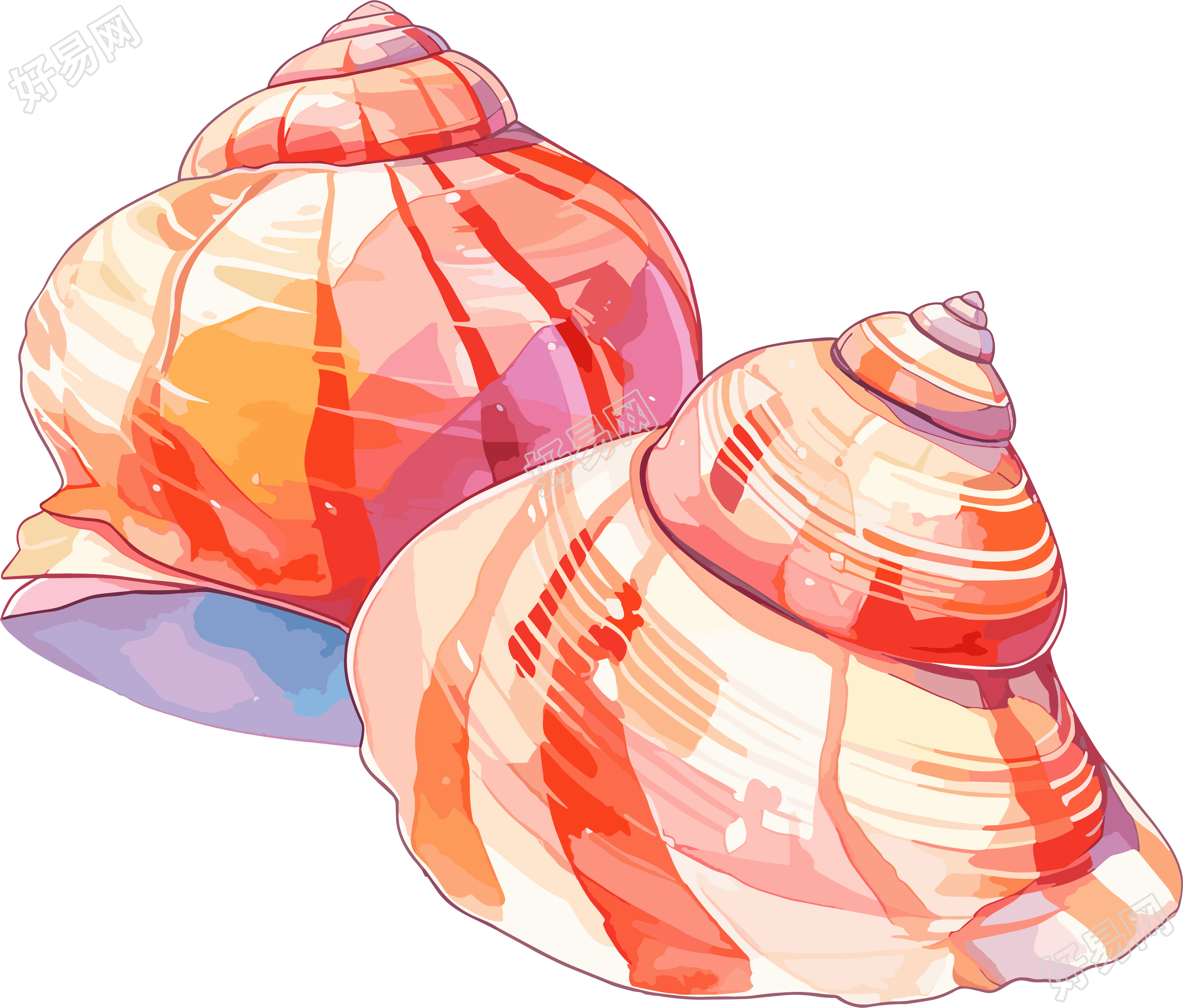 海贝壳卡通插图