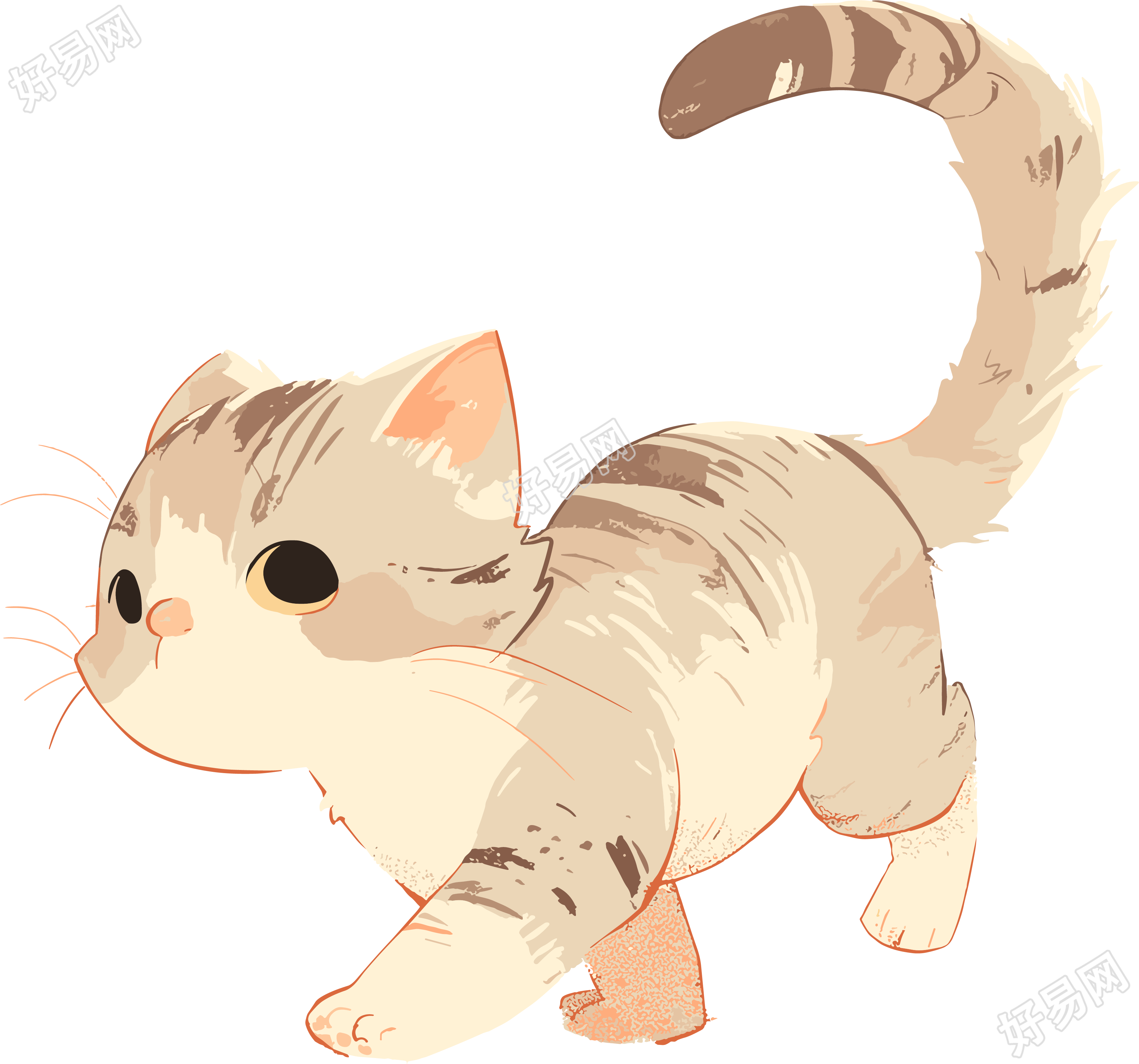 猫咪透明背景素材