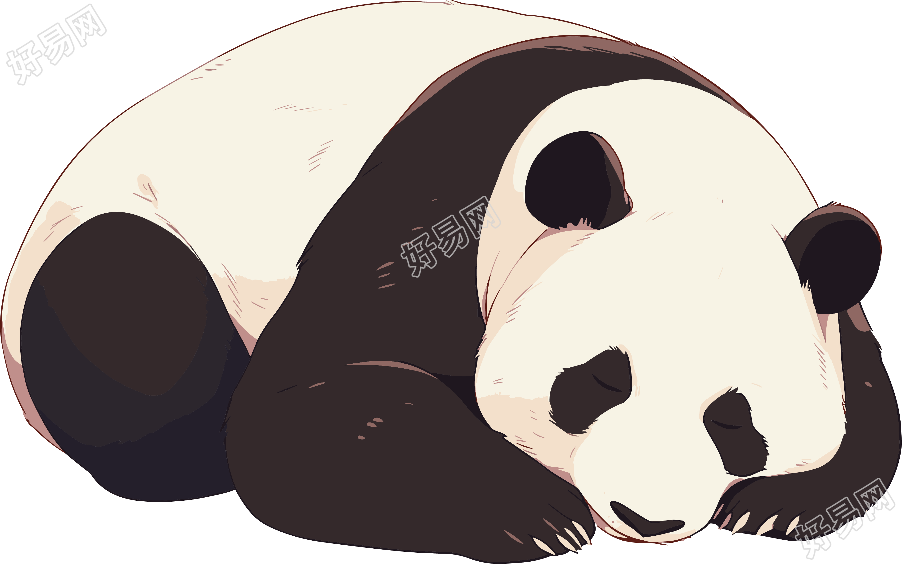 大熊猫黑白可爱插画