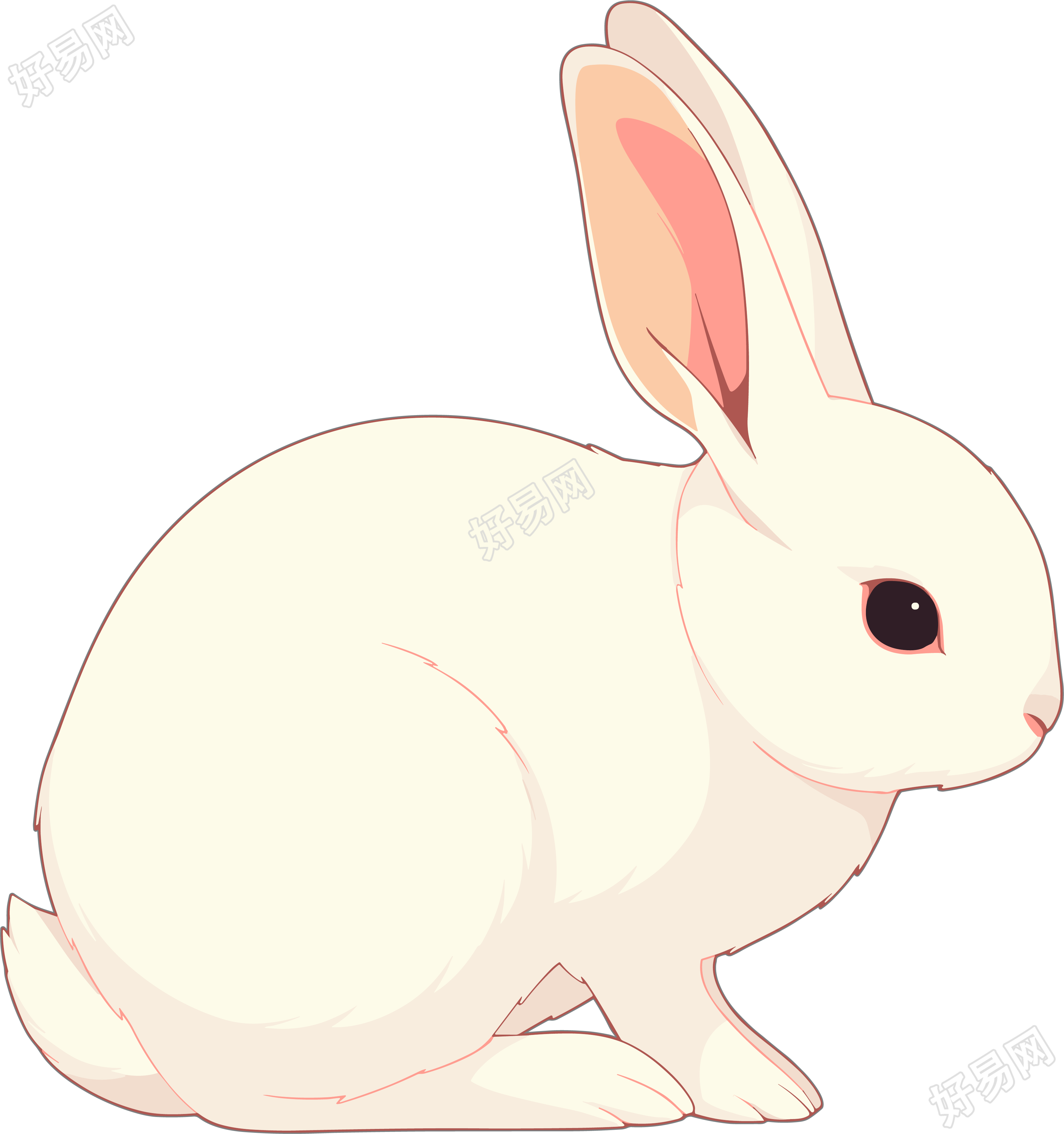 兔子高清质量插画