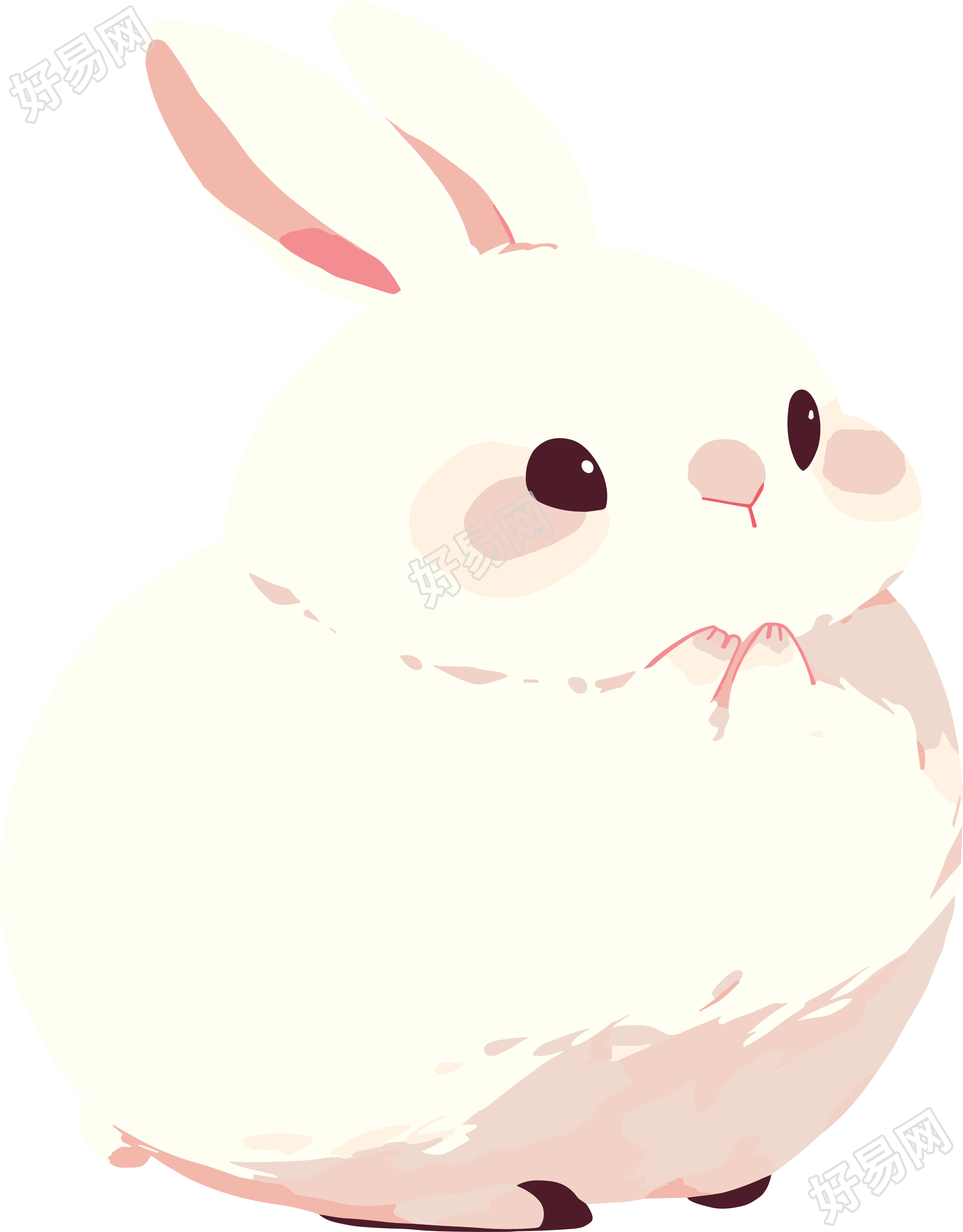兔子胖乎乎插画