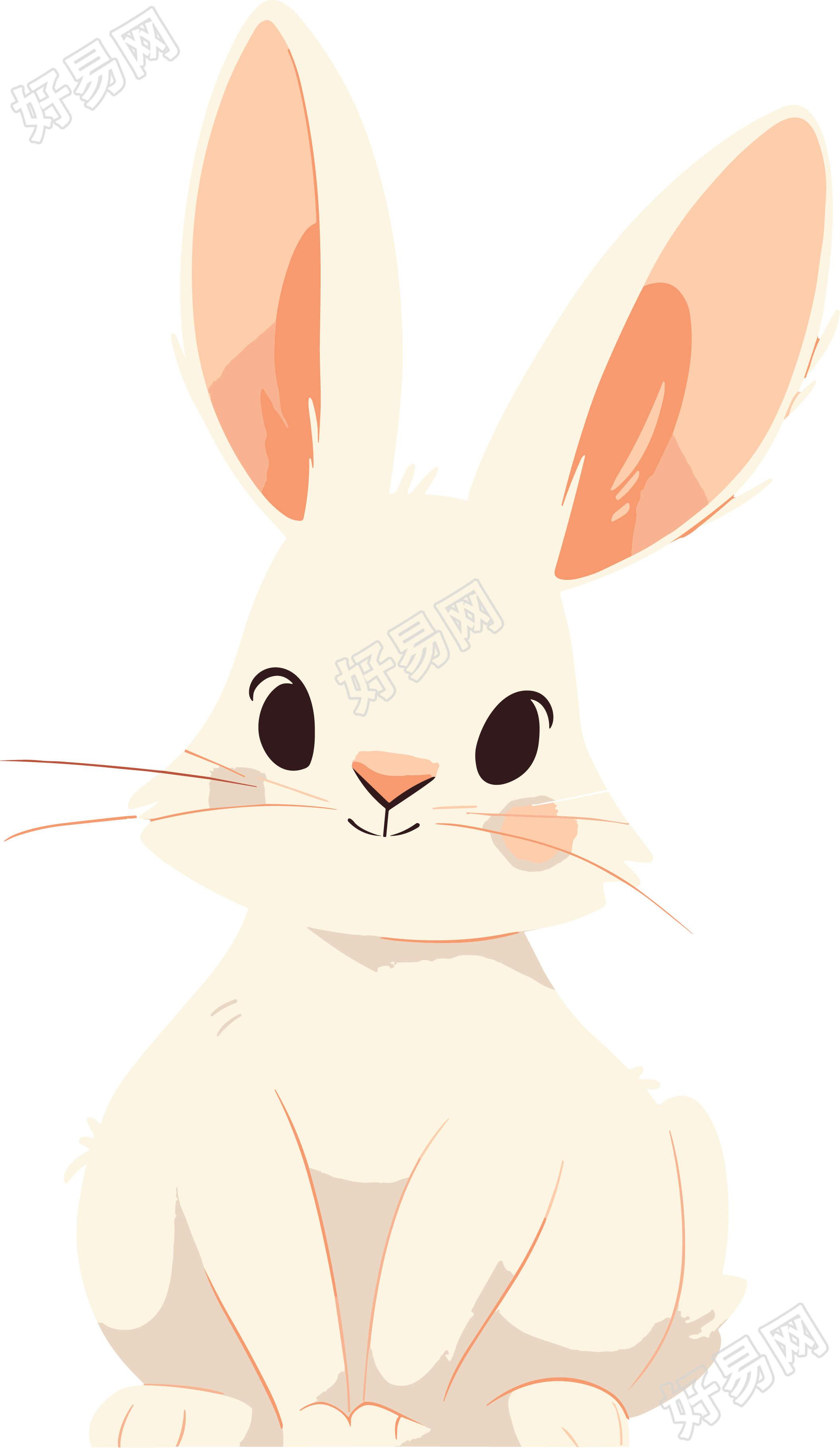 兔子商业设计插画