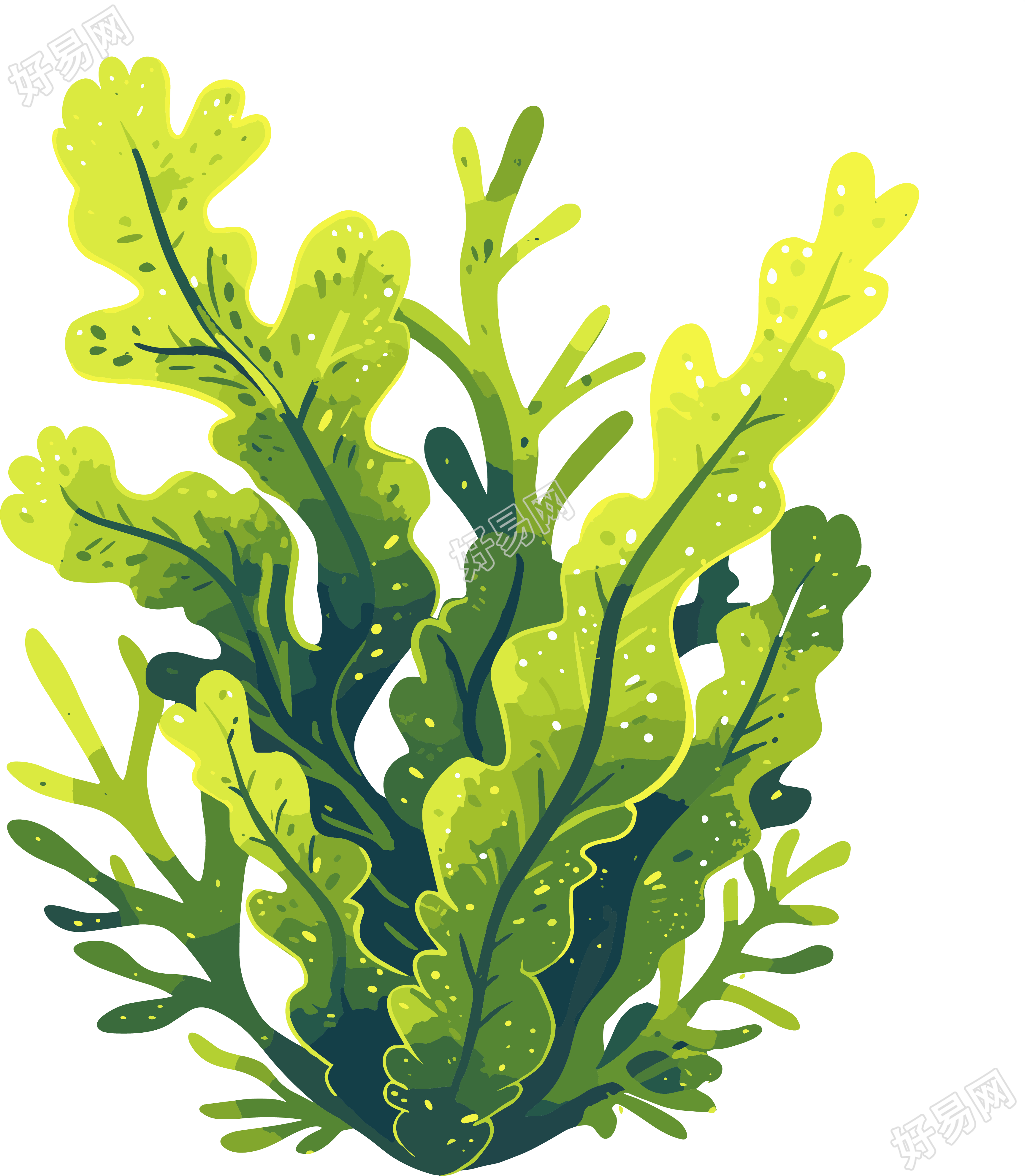 海洋海藻元素