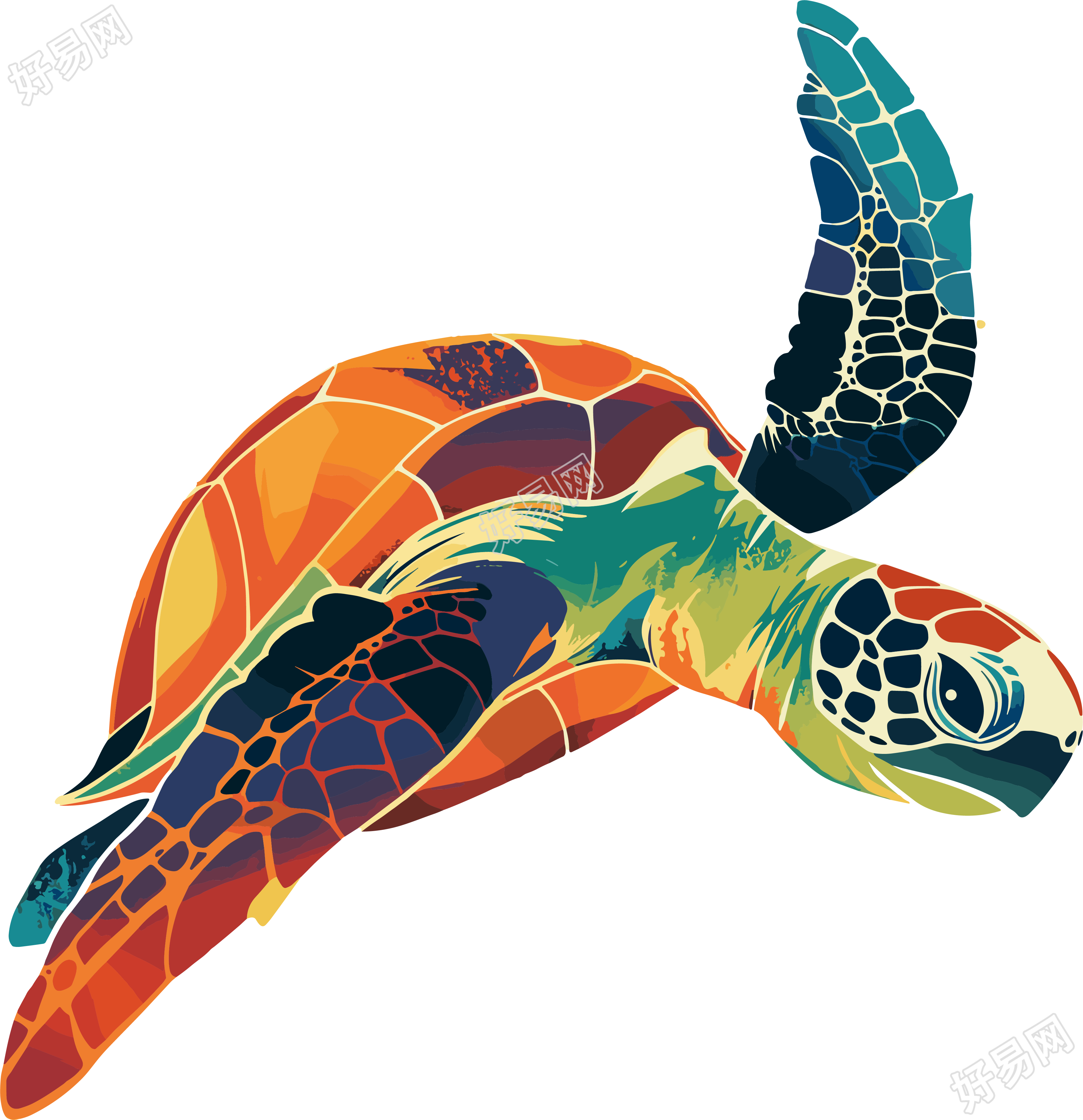海洋海龟美丽插图