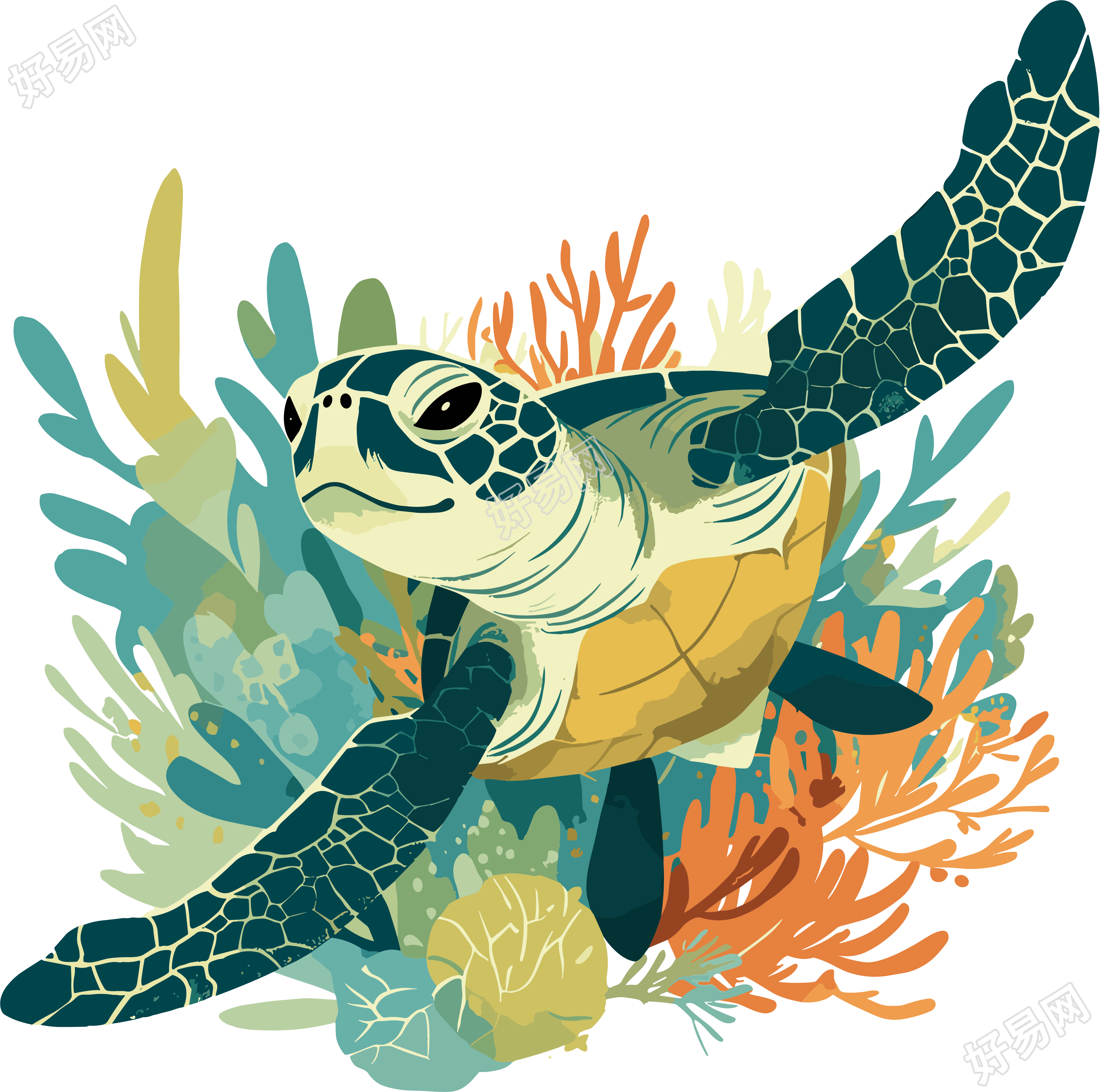 海洋海龟简单插画