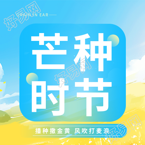 芒种时节蓝色简约微信公众号次图