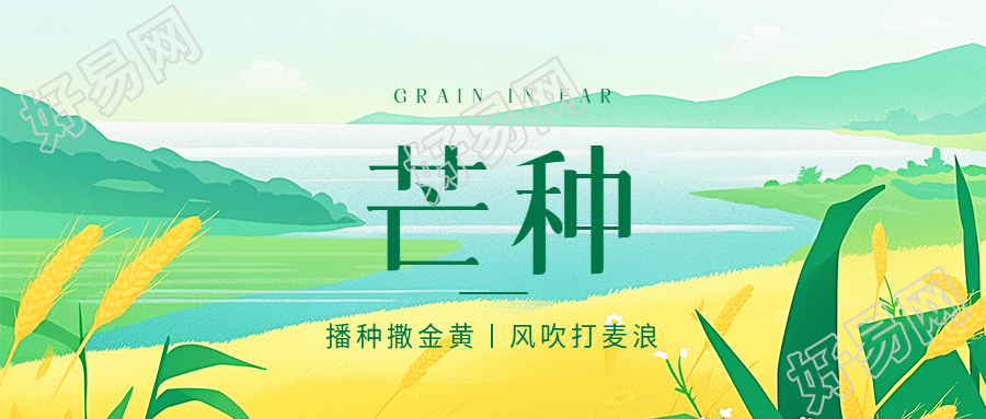 二十四节气芒种创意微信公众号首图