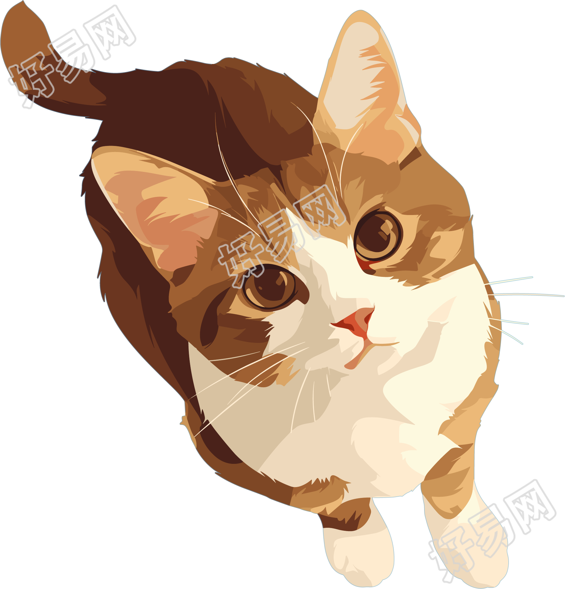 猫咪可爱插图