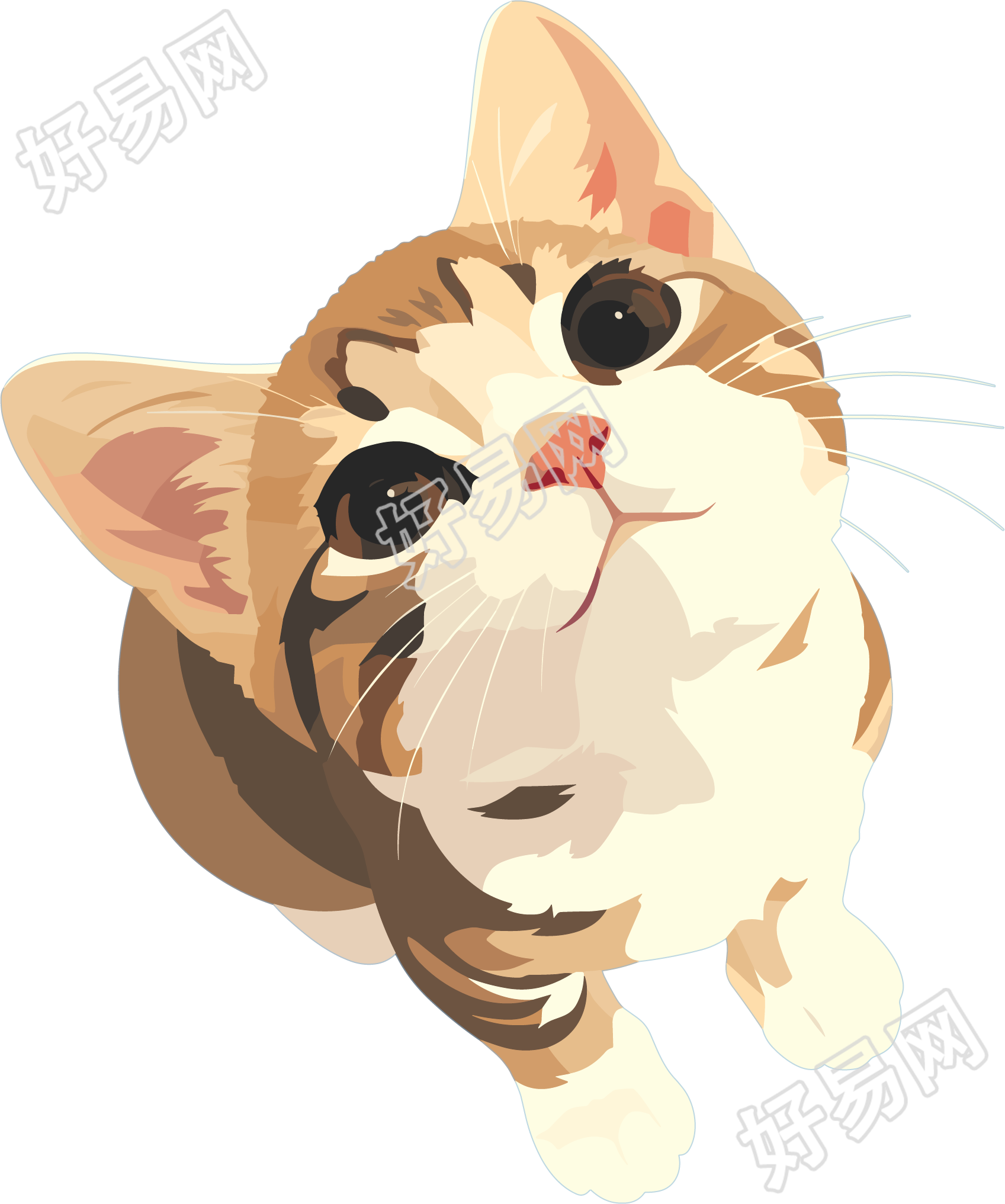 猫咪搞怪插画