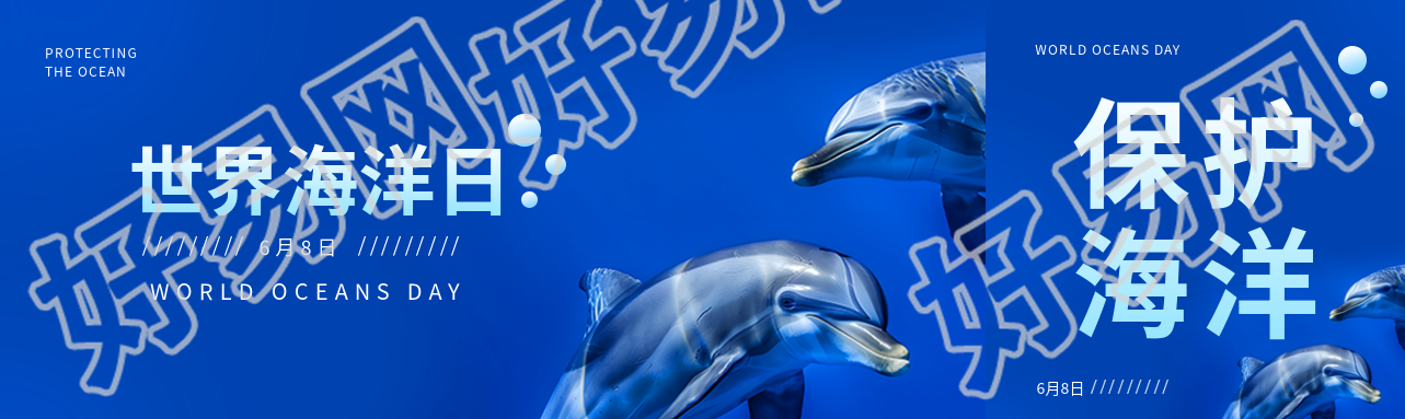 世界海洋日海豚实景公众号封面图