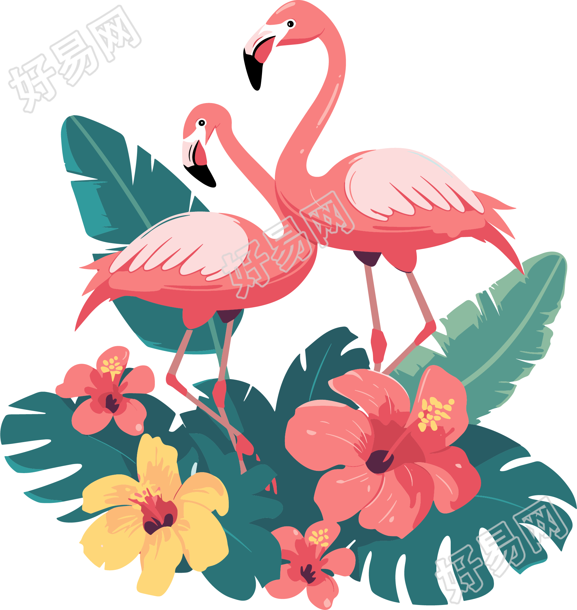 火烈鸟绿植插画