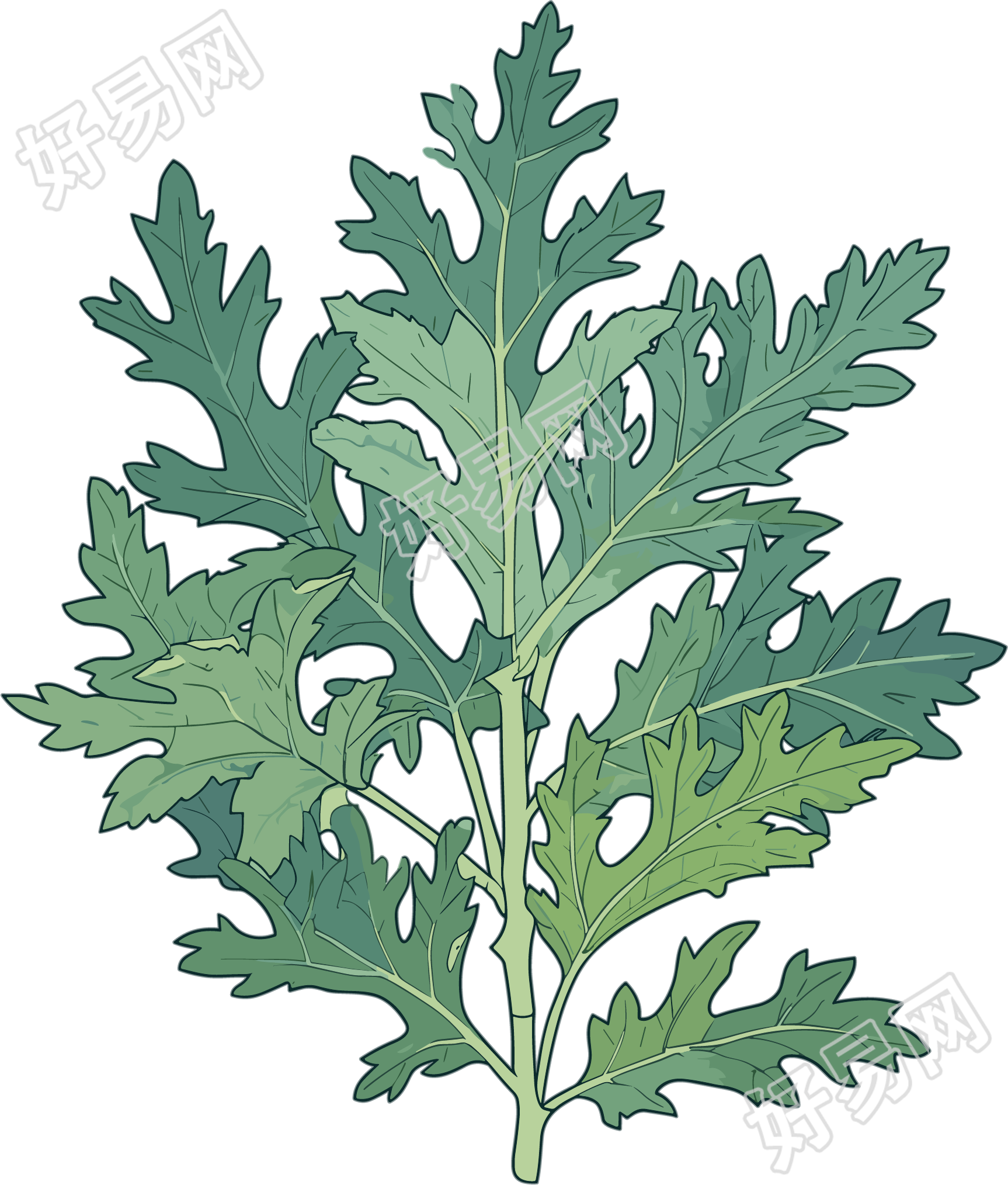 艾草简约设计元素
