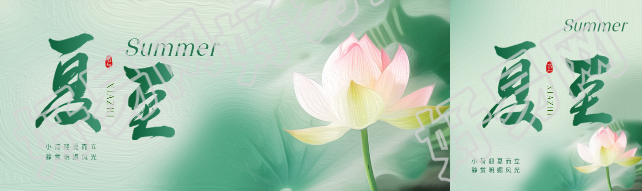 夏至时节唯美荷花公众号封面图