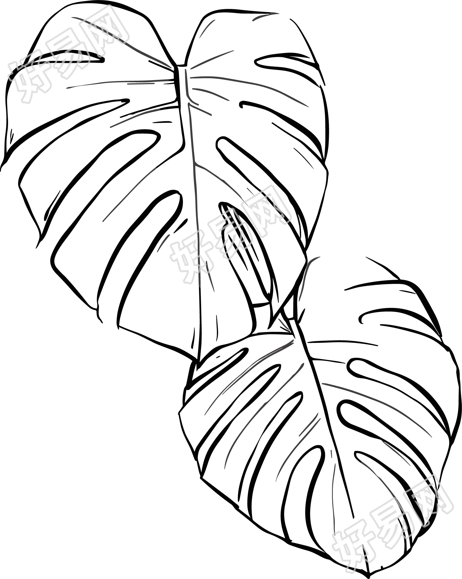 线条植物叶片元素
