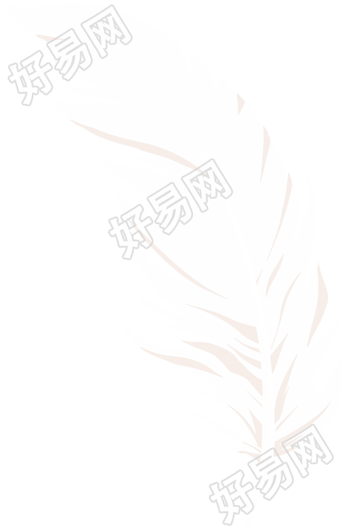 羽毛插图设计素材